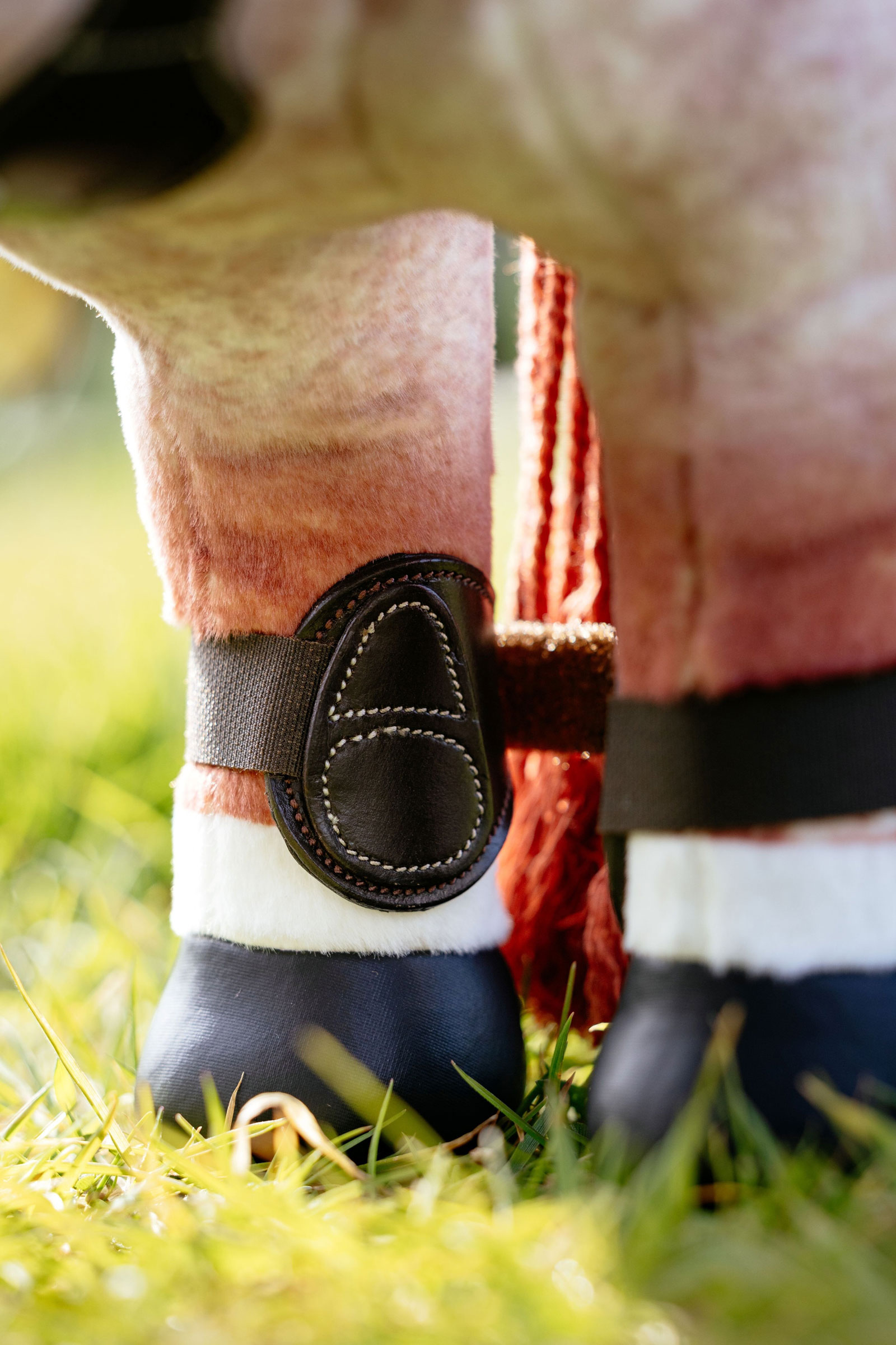 LeMieux Capella Gamaschen für Spielzeugpony