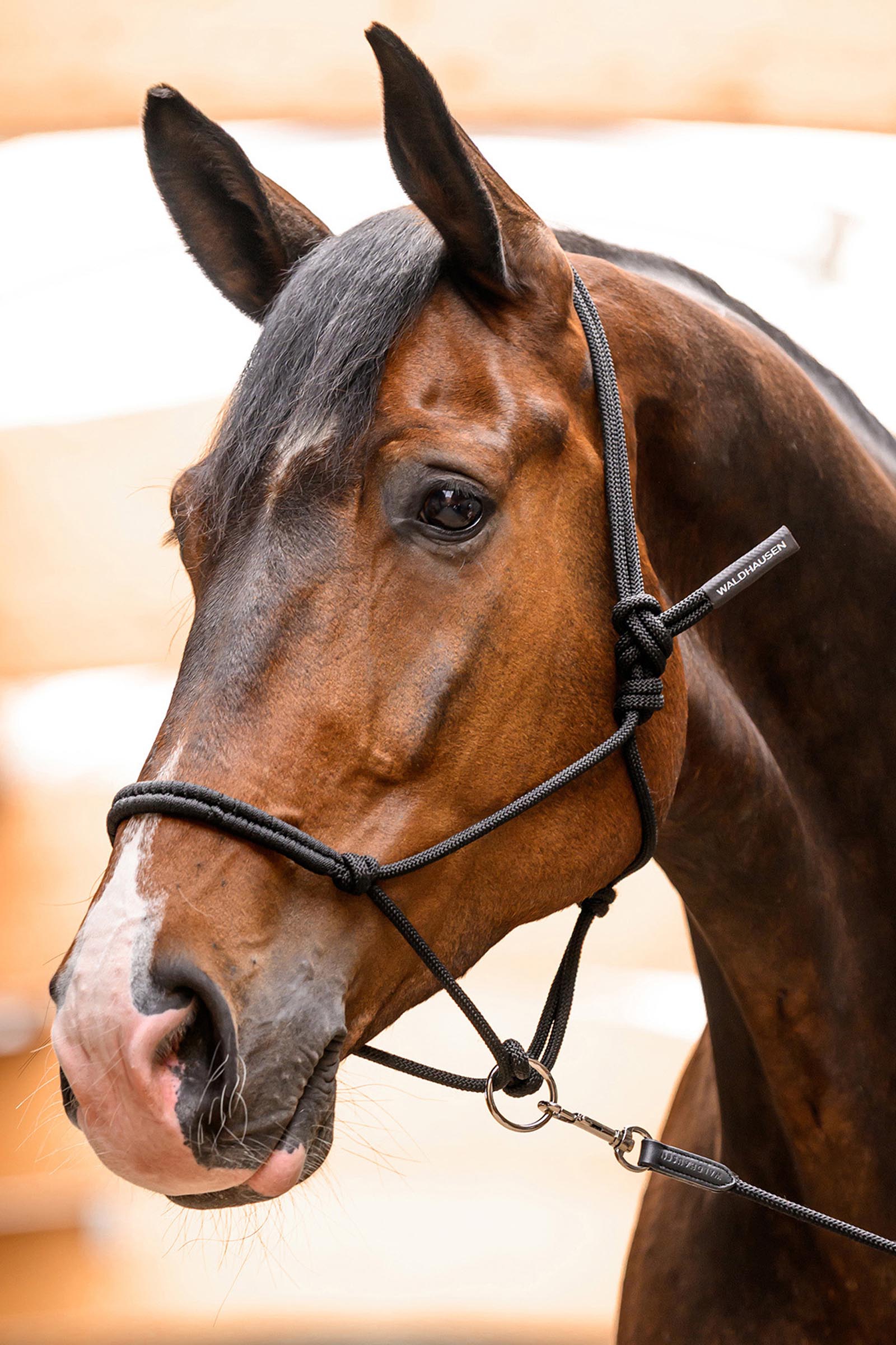 Waldhausen Knotenhalfter mit beweglichem Ring