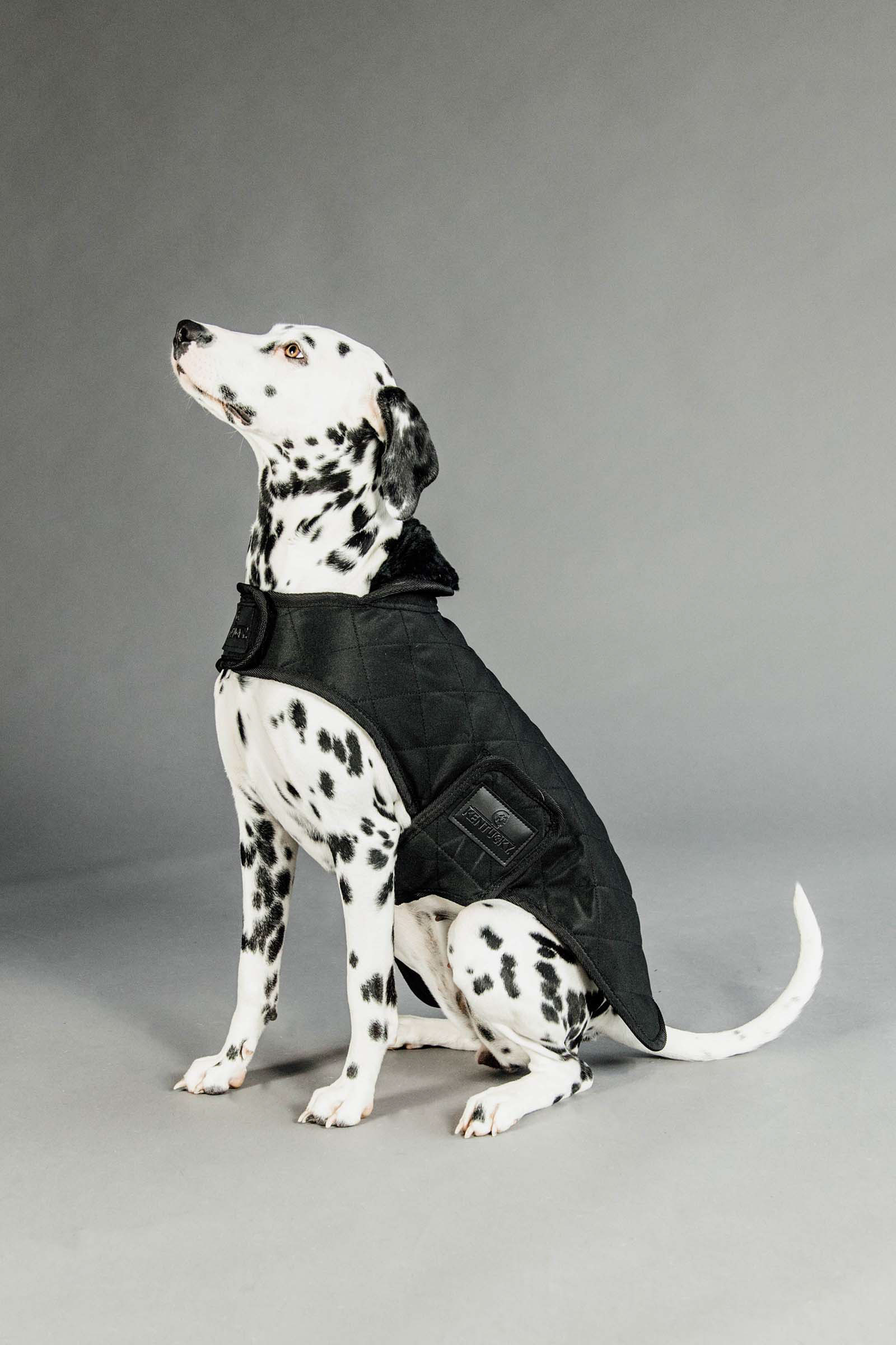 Black/Black Kentucky Dogwear Hundemantel