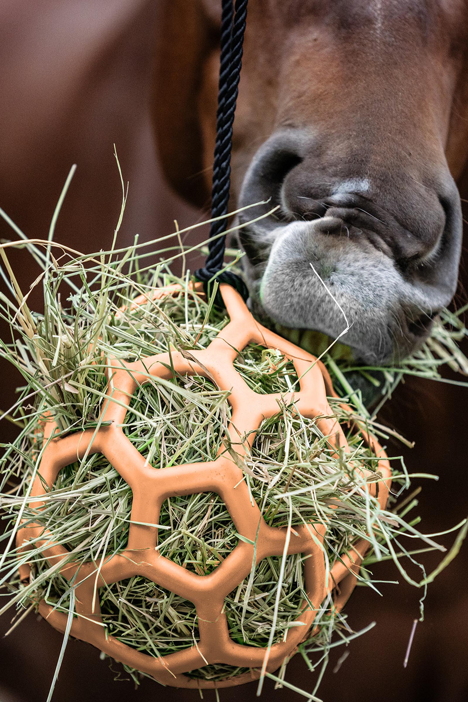 Peach Waldhausen Heuball