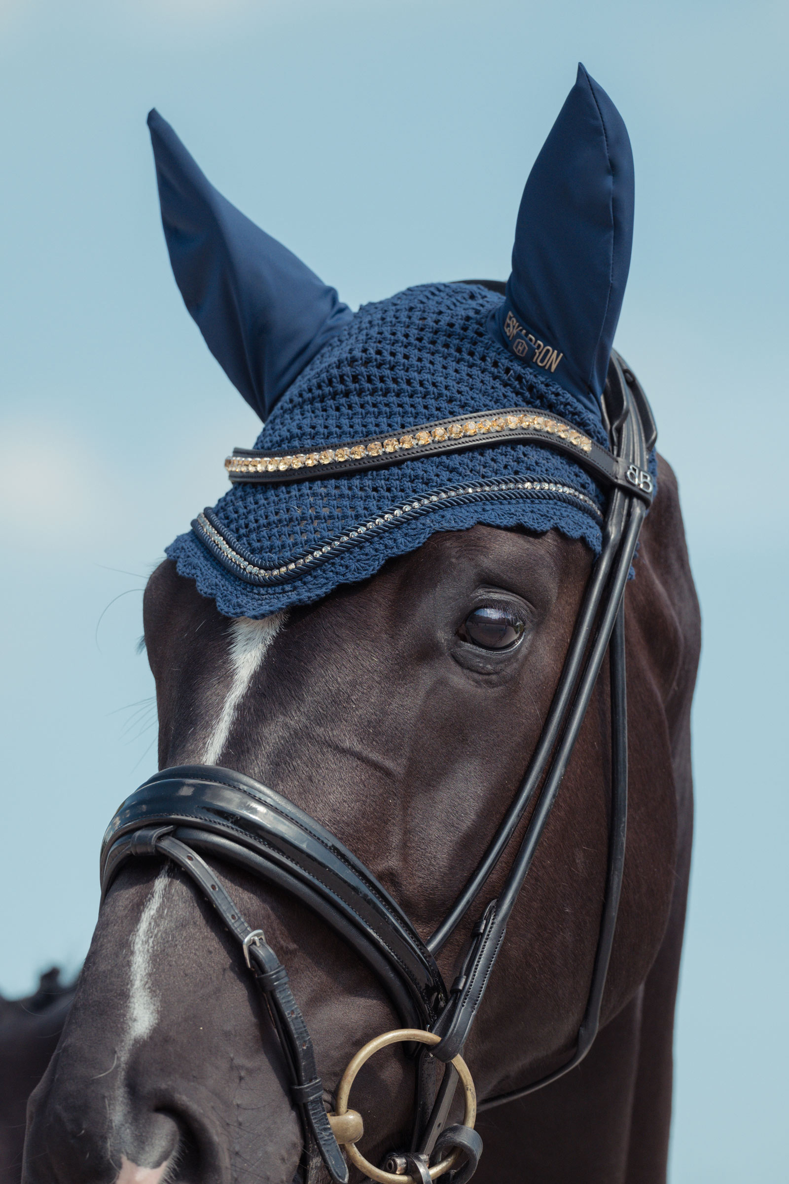 Eskadron Heritage AW24 Crystal Fliegenohren