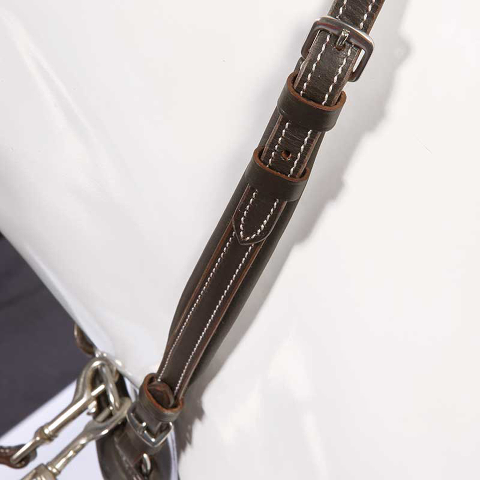 Kavalkade Vorderzeug Dekor, W