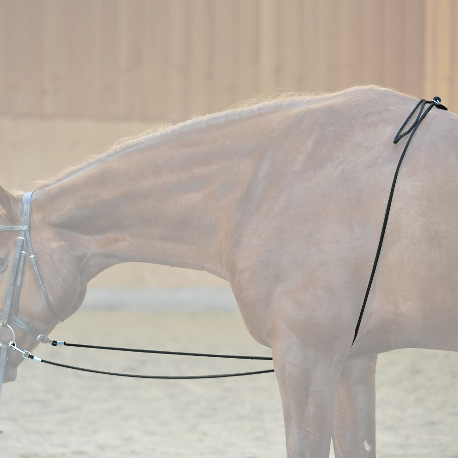 Kavalkade HO-Longierhilfe