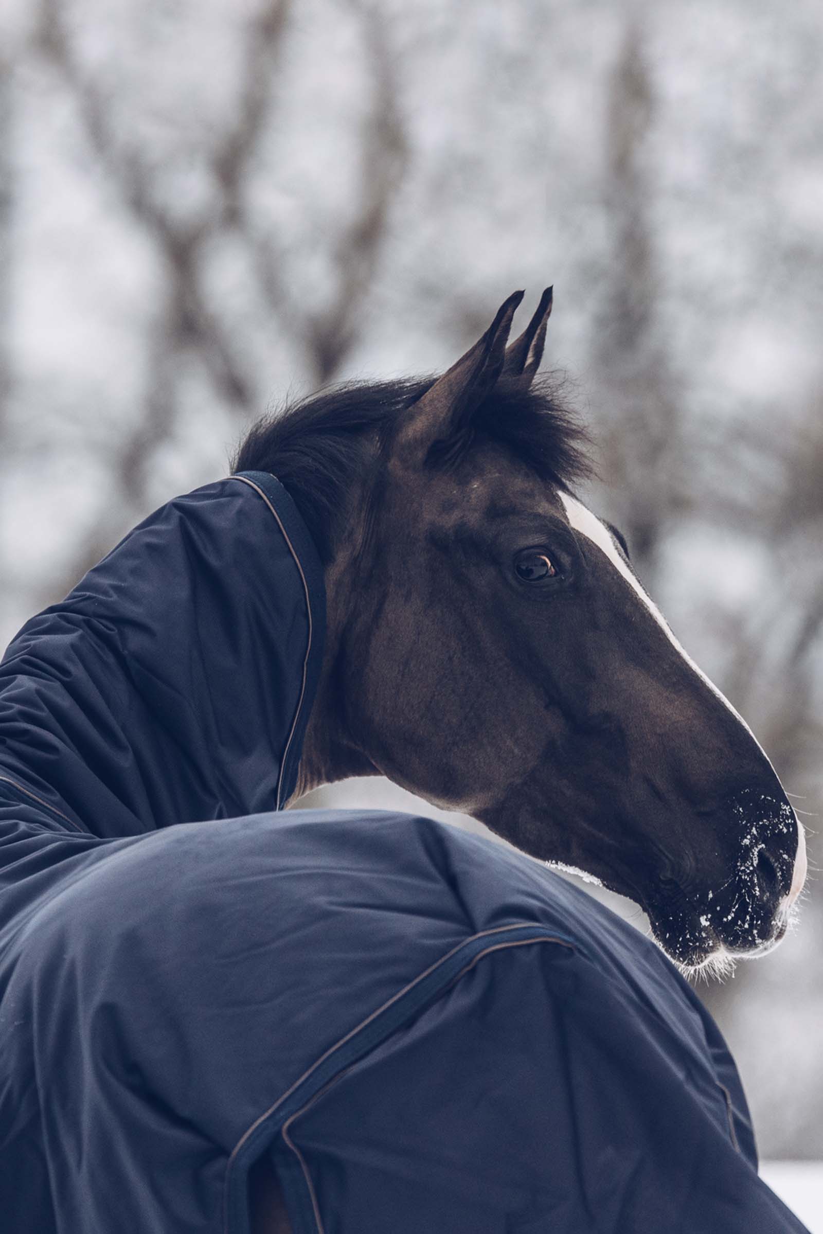 Kentucky Horsewear All Weather Waterproof Classic Winterdecke, 300g