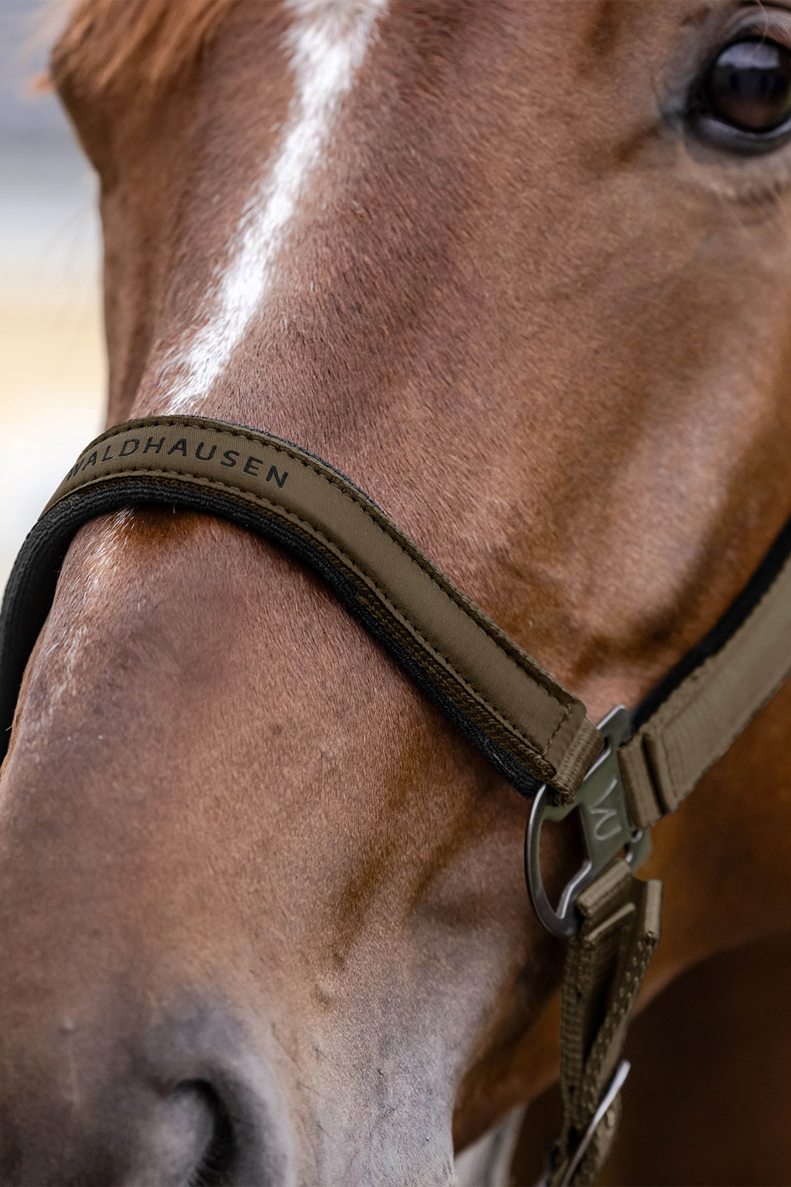 Waldhausen Athletic Halfter