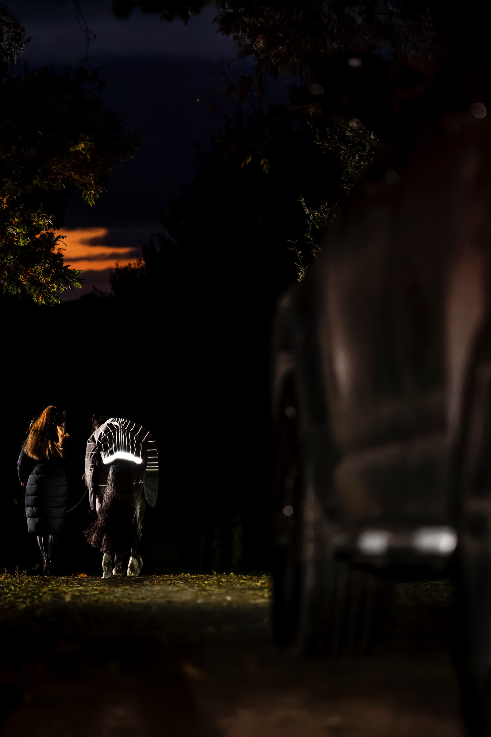 Horseware Amigo 1200D FieldSafe Reflectech Plus Outdoordecke, 100 g