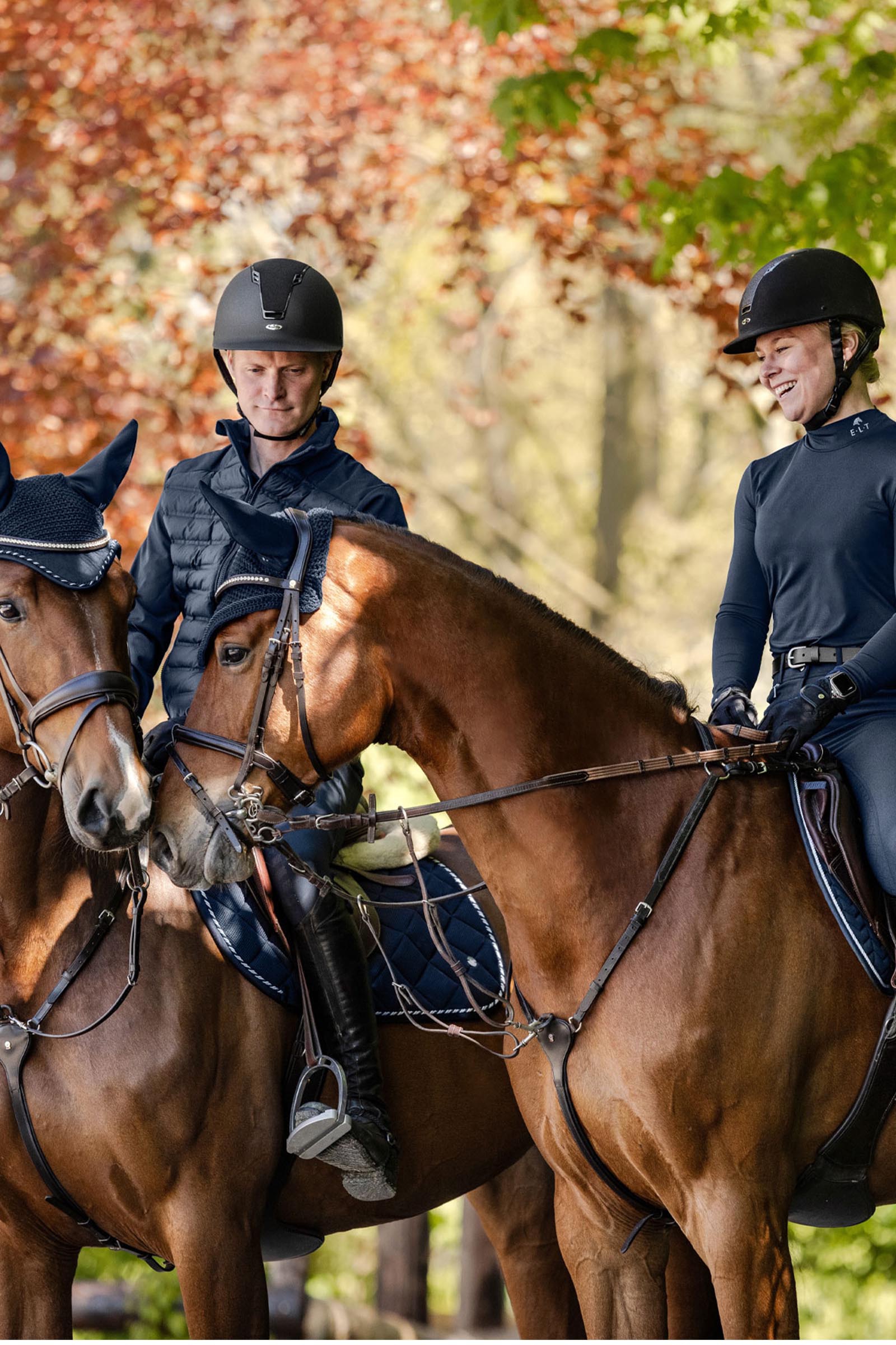 SWING H22 Mat/Velvet Reithelm