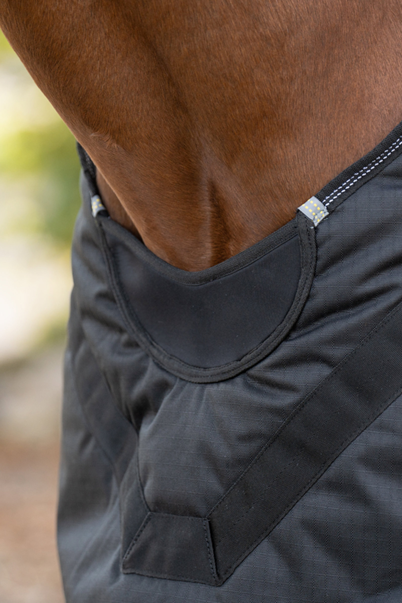 Kavalkade Halifax 2in1 Weidedecke und Führanlagendecke 50g