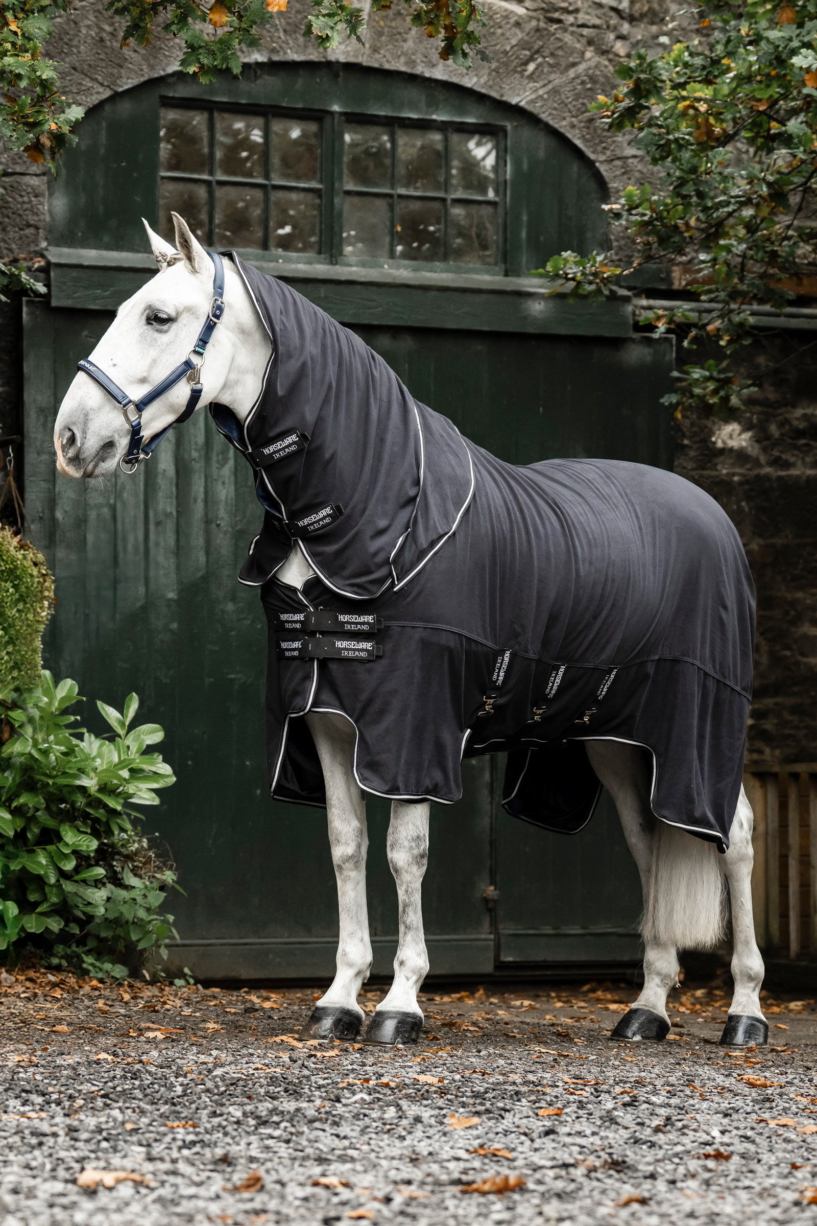 Black/Black/Silver Horseware Show Ready Decke
