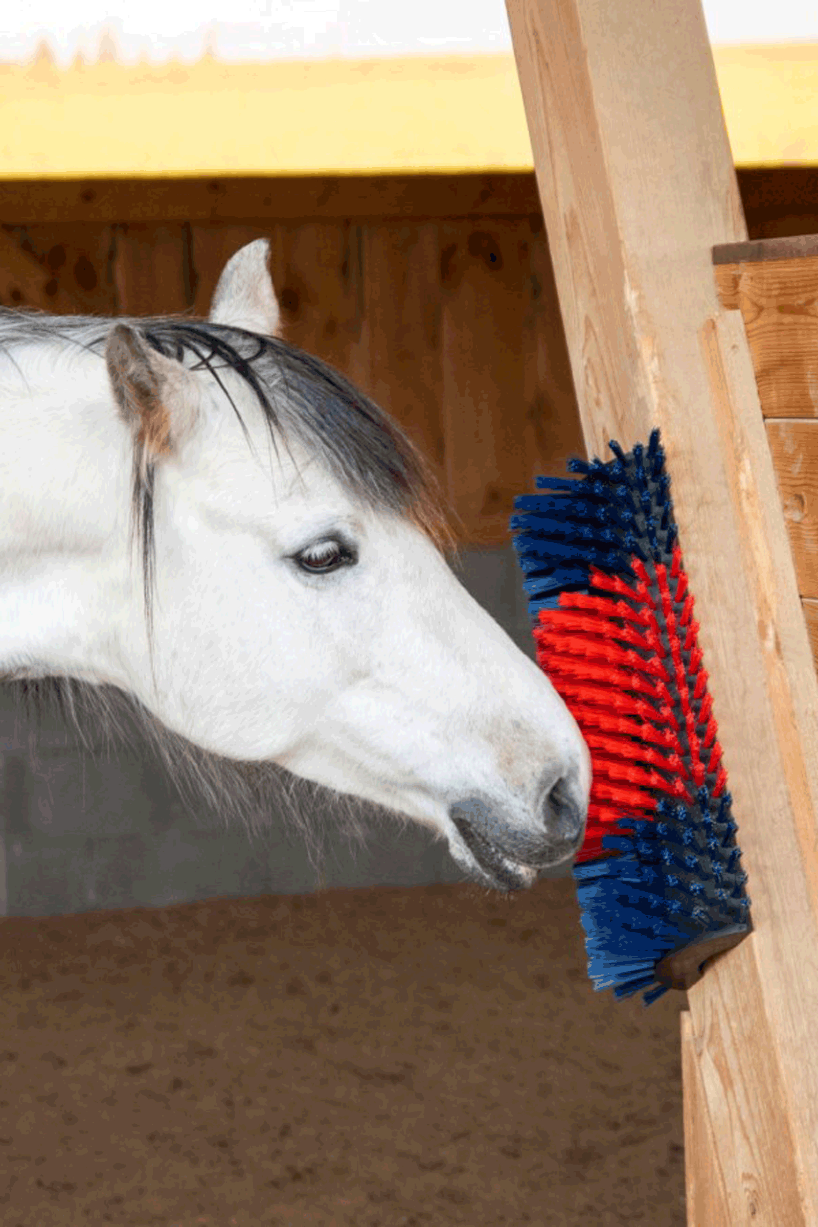 Kerbl XL Kratzb&uuml;rste, rund