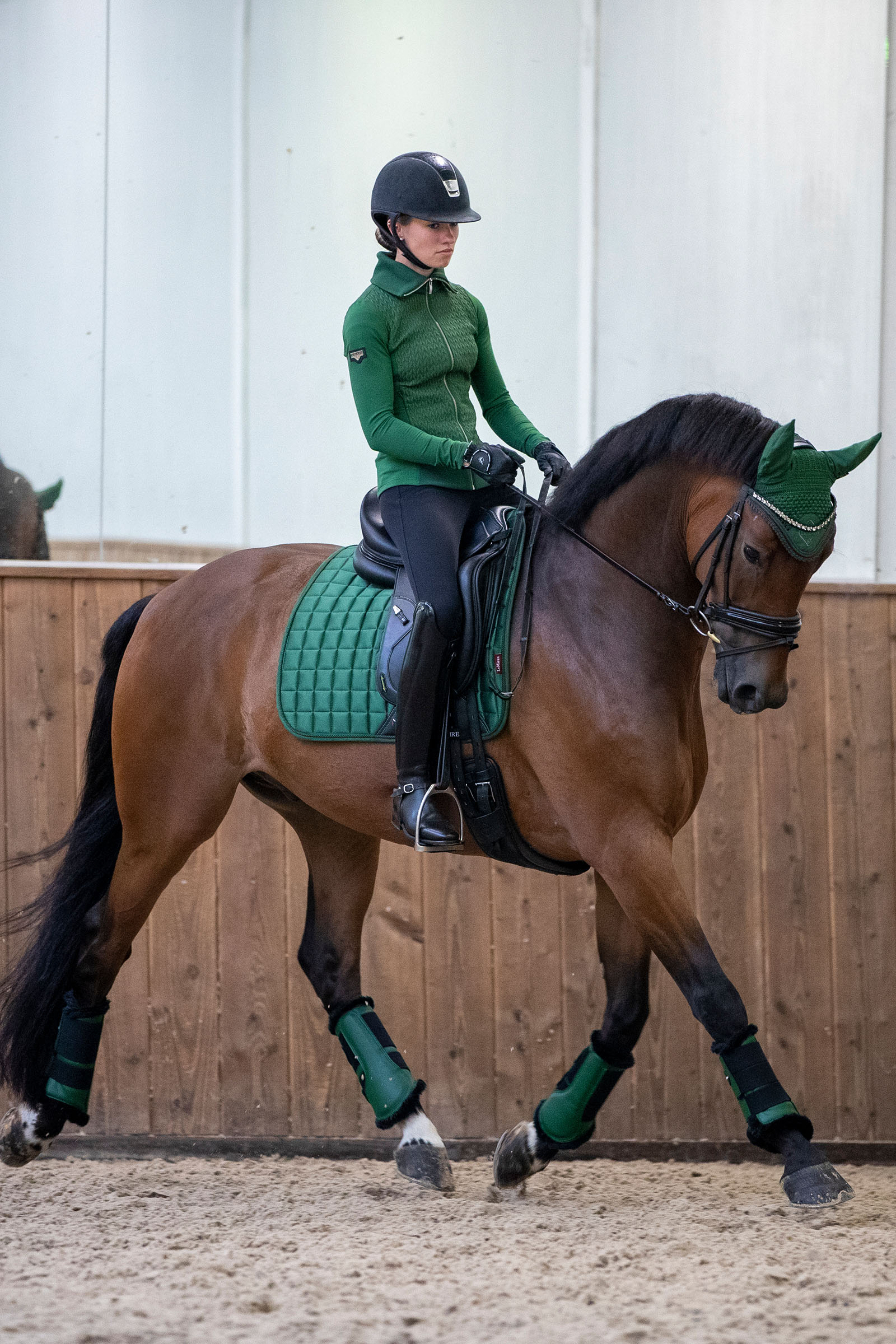 LeMieux Loire Classic Dressurschabracke