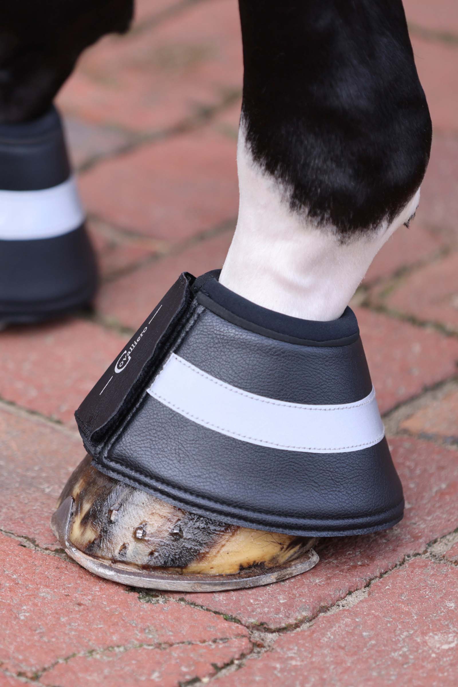 Covalliero Reflektierende Hufglocken