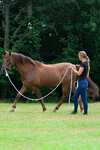 F.R.A. Freedom Riding Articles Flinn Bodenarbeitsseil Baumwolle, 820 cm