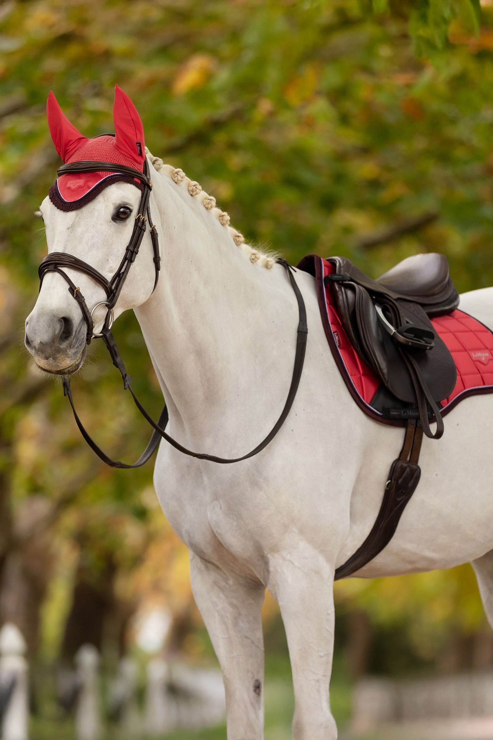 LeMieux Loire Fliegenhaube