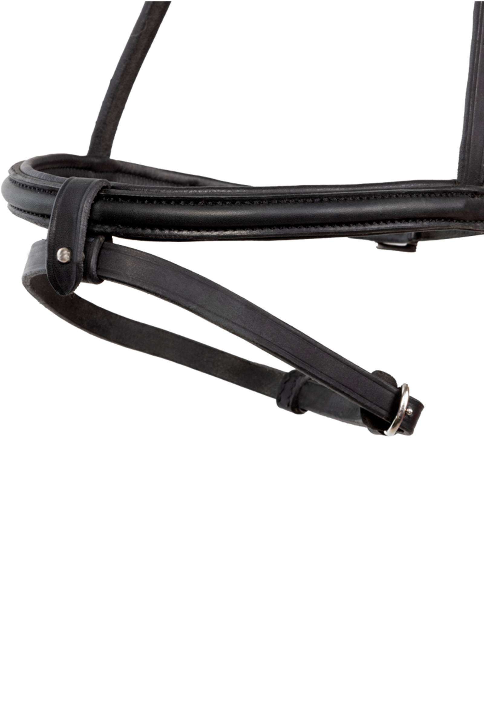 Kavalkade Svartur Englisches Reithalfter für Islandtrense Kjartan