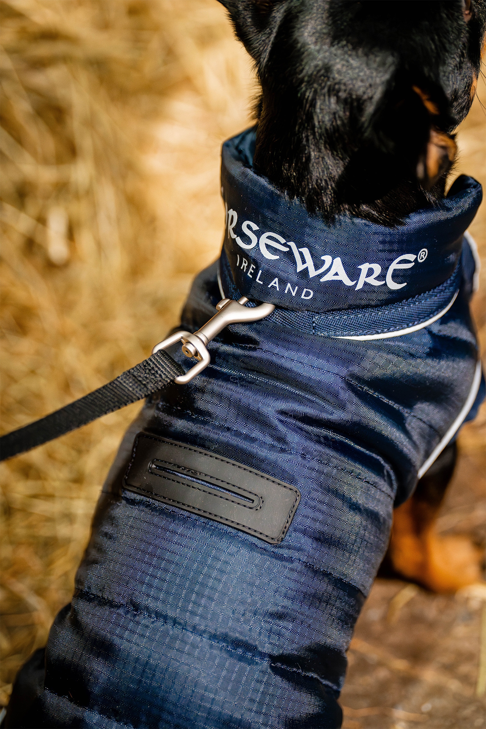 Horseware Signature Hundemantel