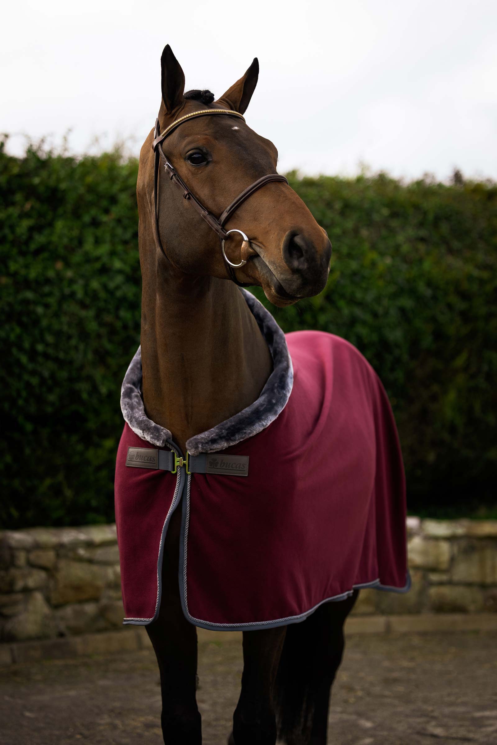Bucas Show-Line Fleece Rug, 400 g