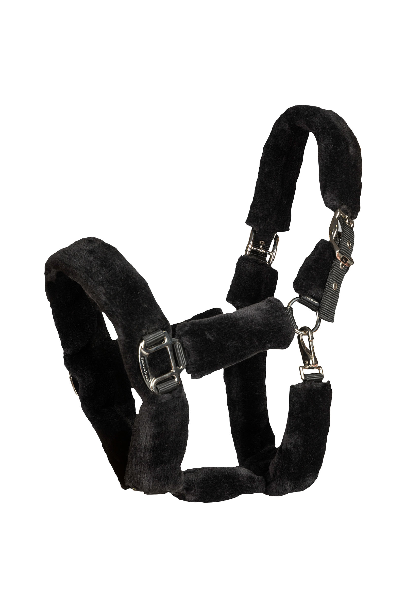 Back on Track Audrey Halfter