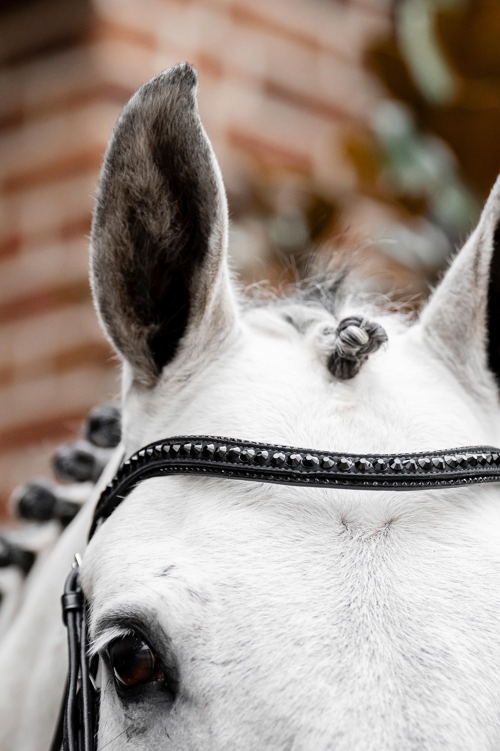 Horseware Diamante Trense mit kombiniertem Reithalfter