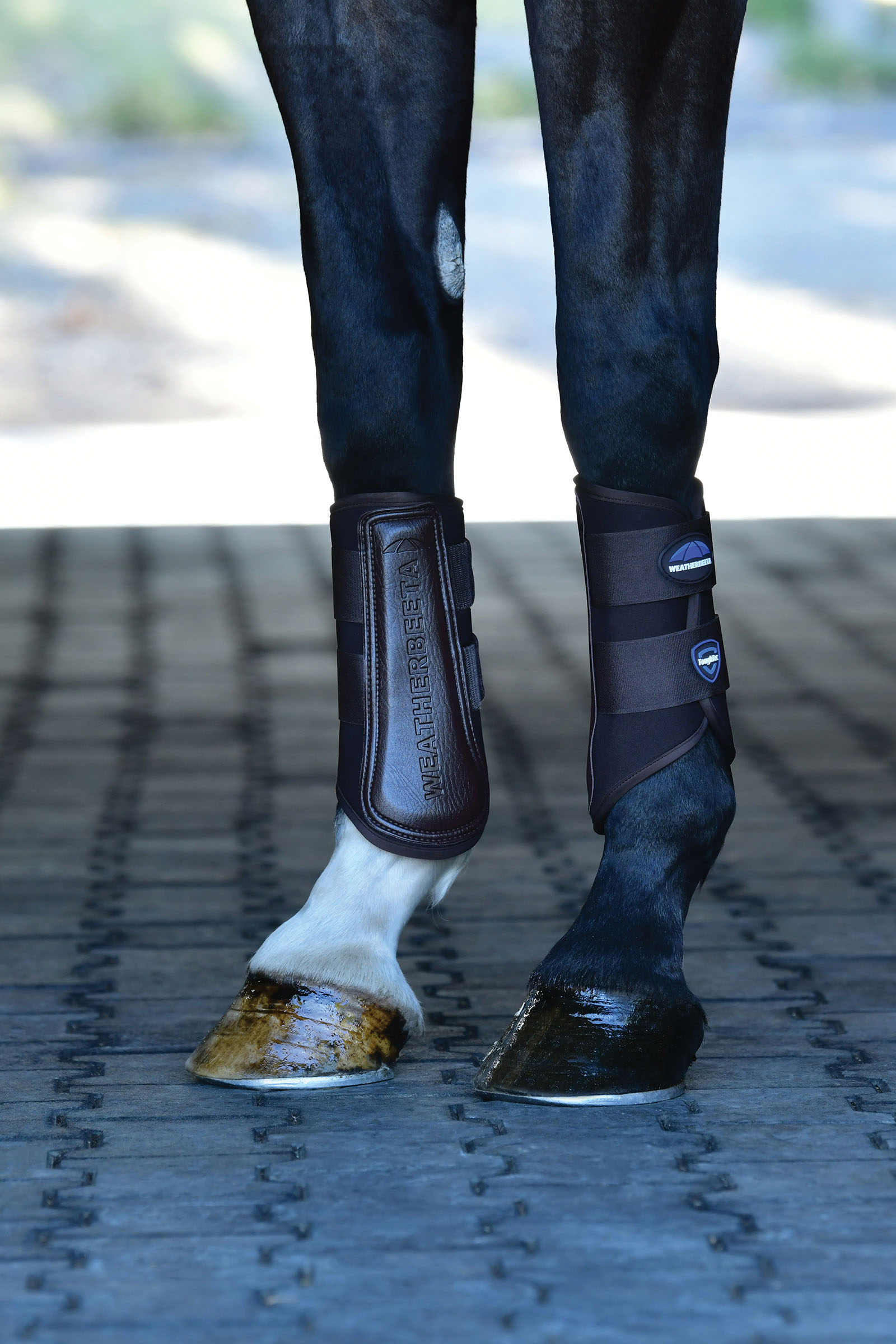 Weatherbeeta Tough-Tec Prime Dressurgamaschen