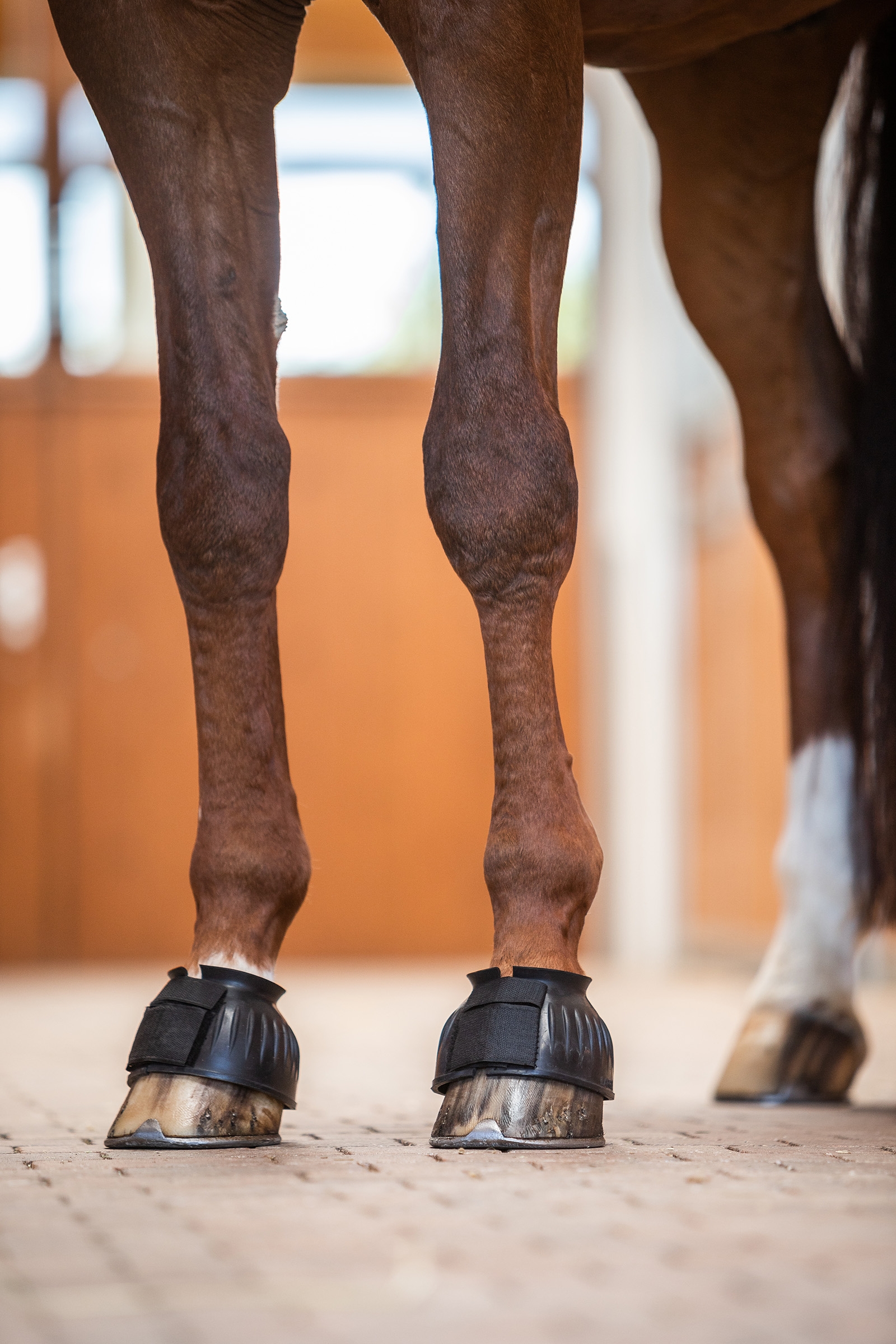 Horze Hufglocken mit Verdrehsicherung