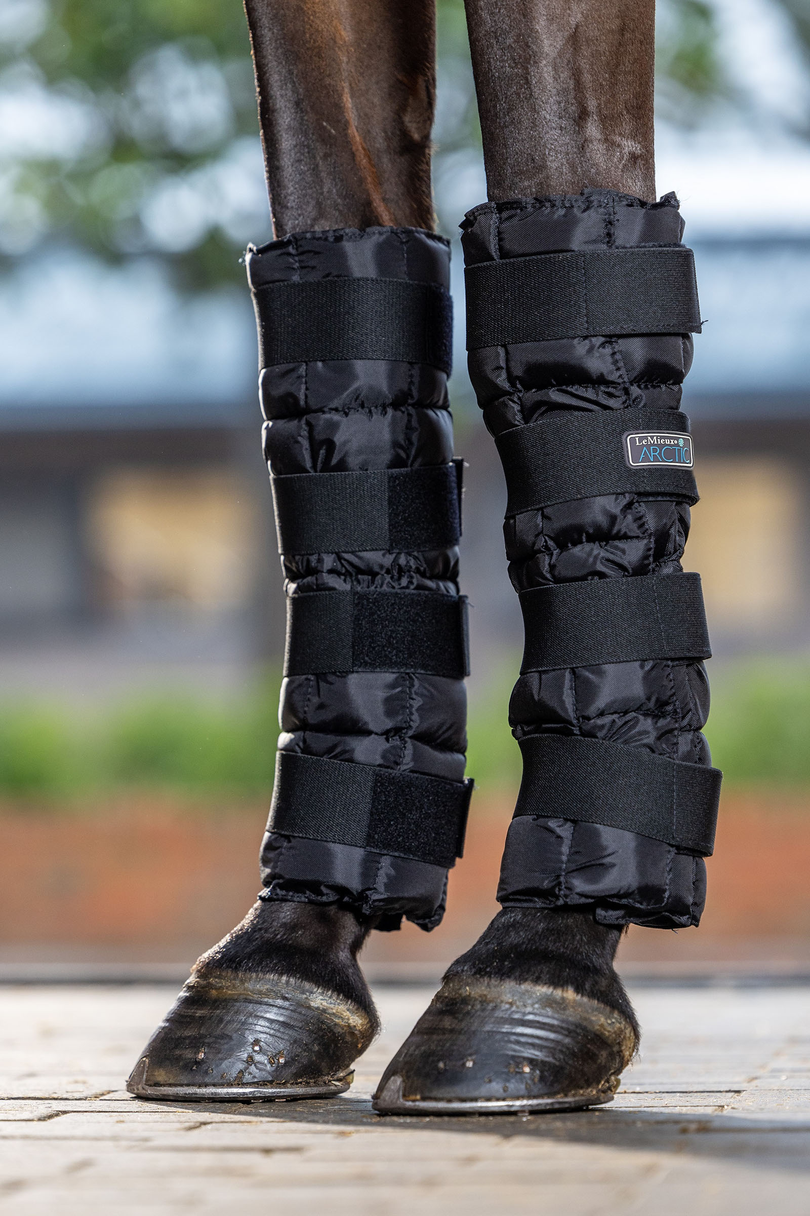 LeMieux Arctic Ice K&uuml;hlgamaschen (Paar)