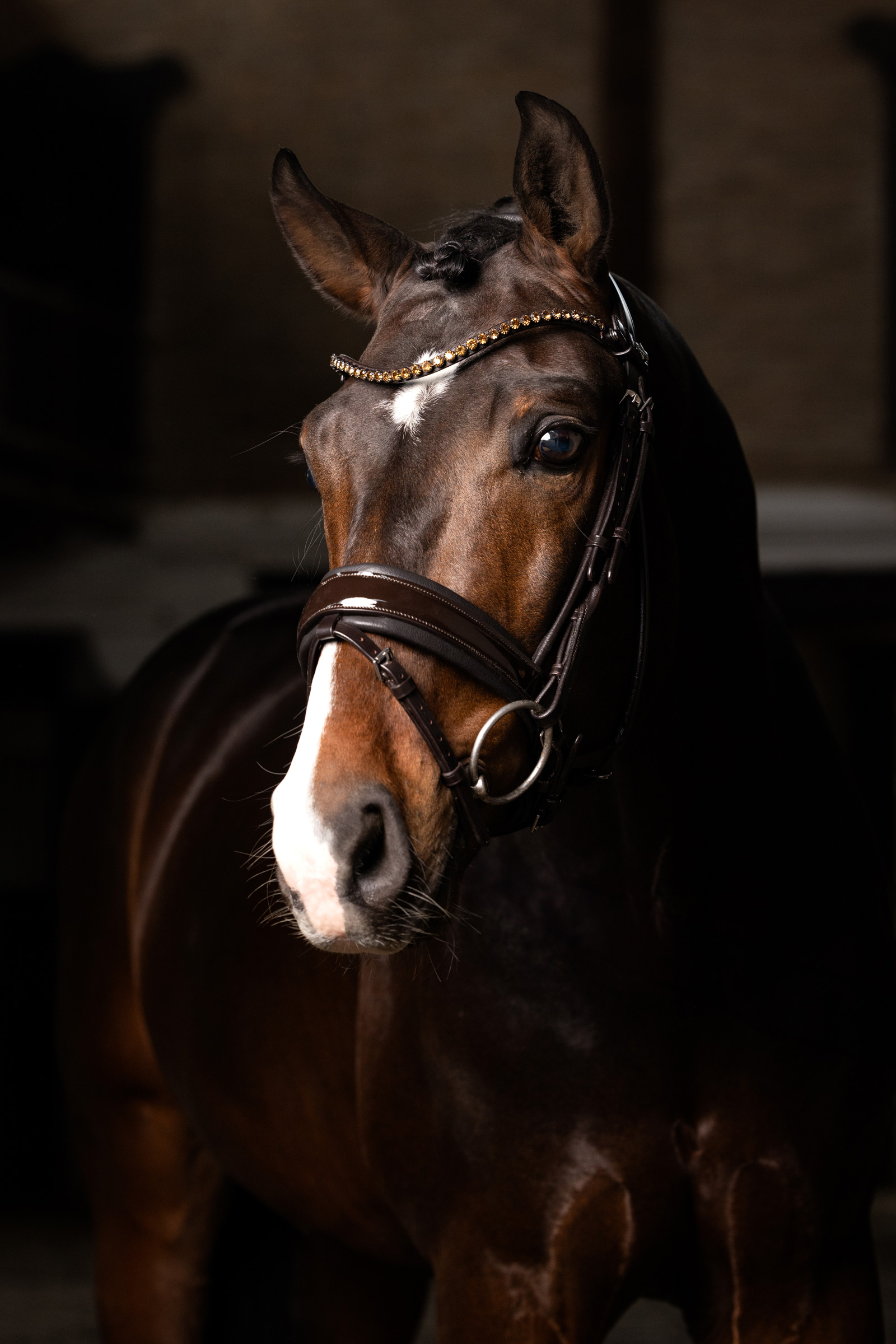 LeMieux Kudos Dressurtrense aus Lackleder