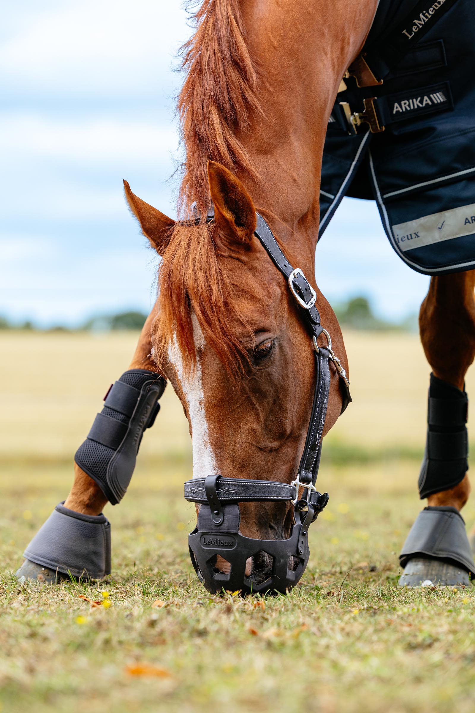 LeMieux Noma Weidemaulkorb