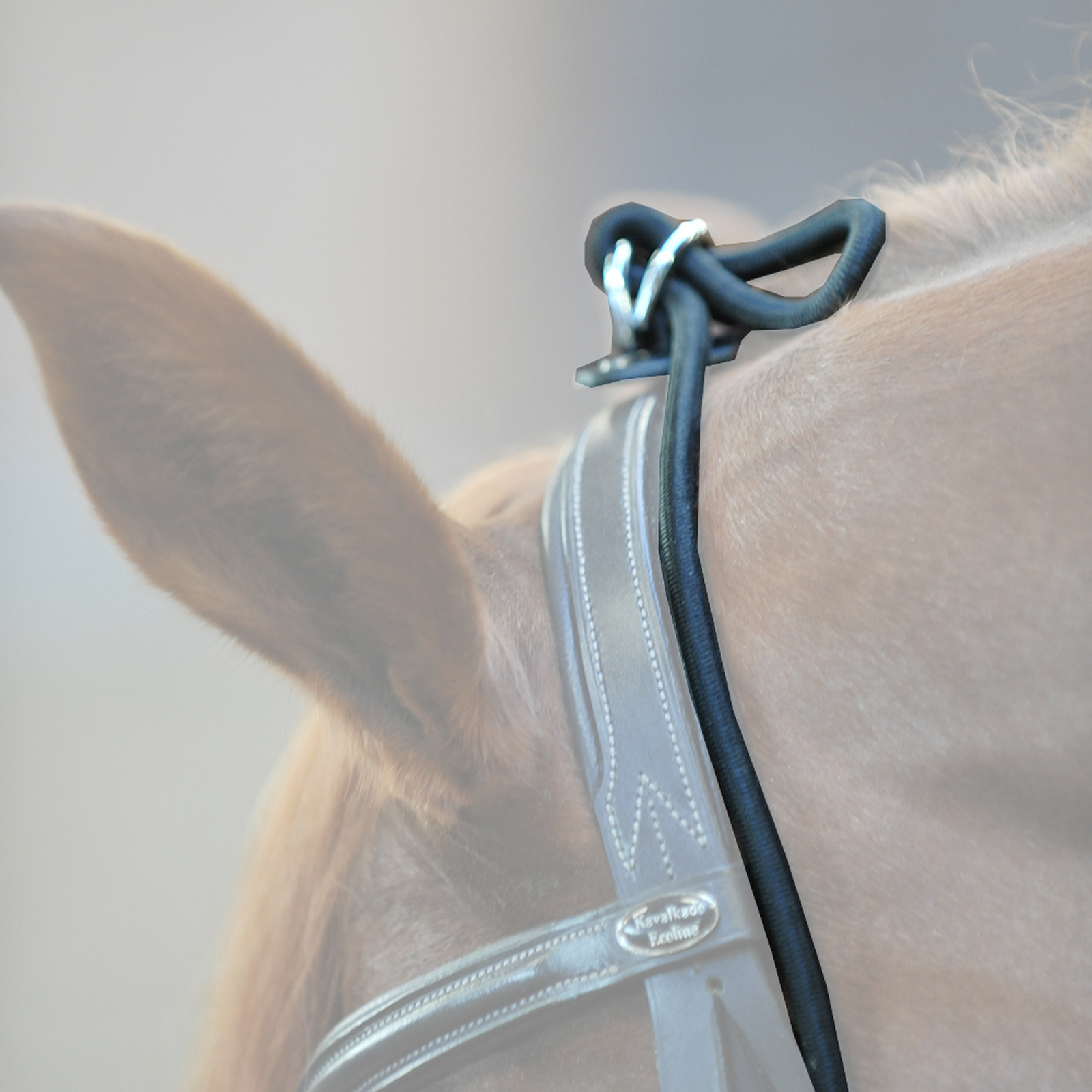 Kavalkade Halsverlängerer