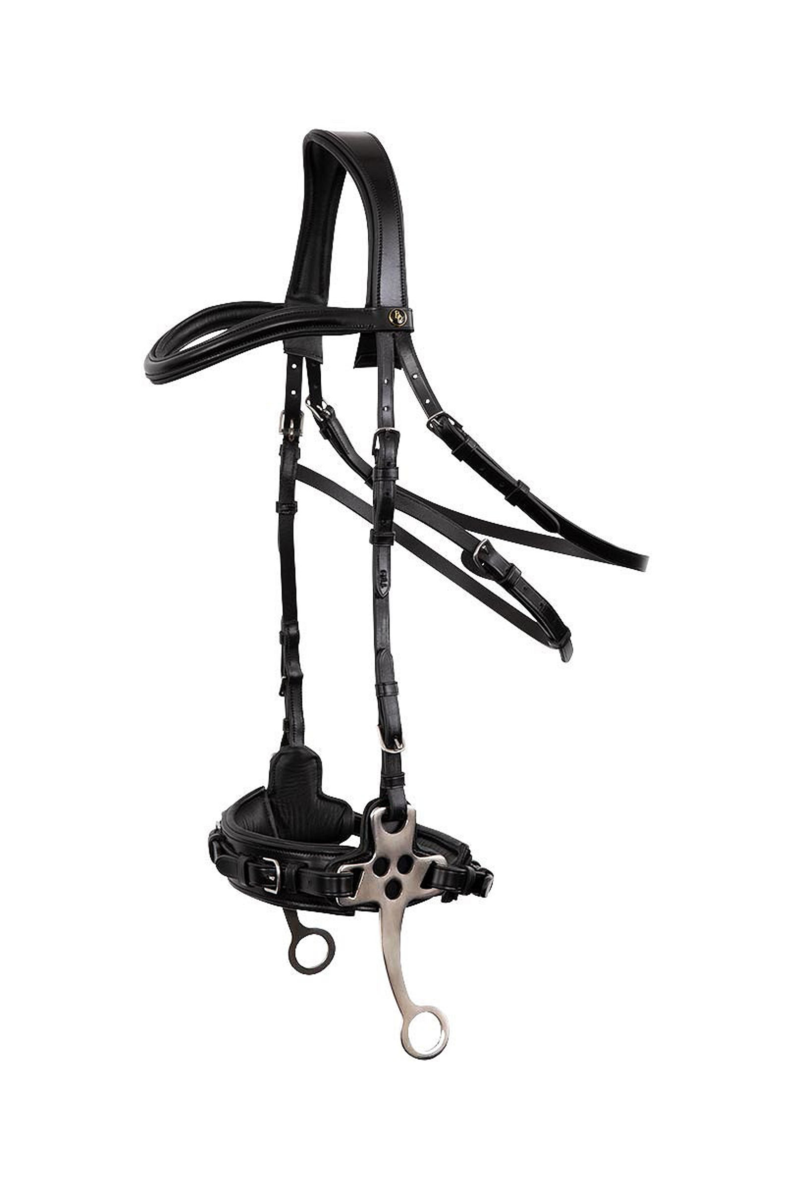 BR Lydney anatomisches Hackamore