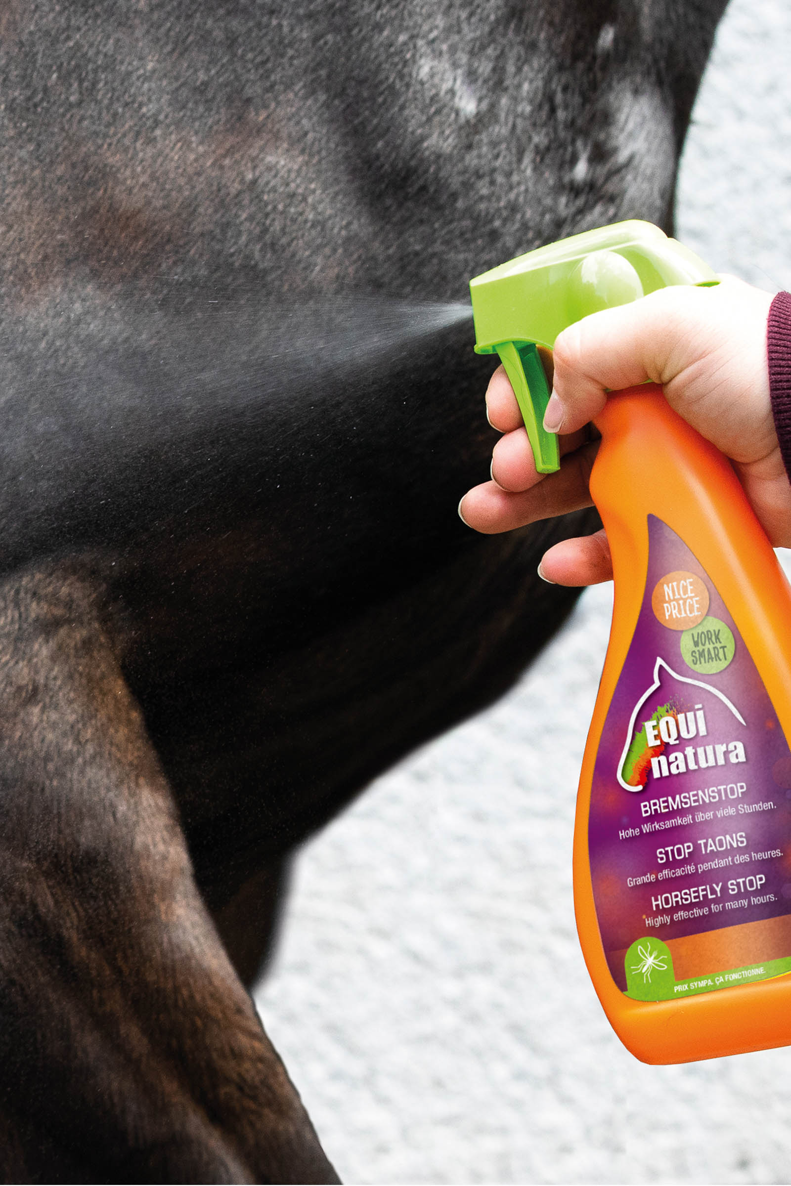 Equinatura Bremsenstop, 500 ml