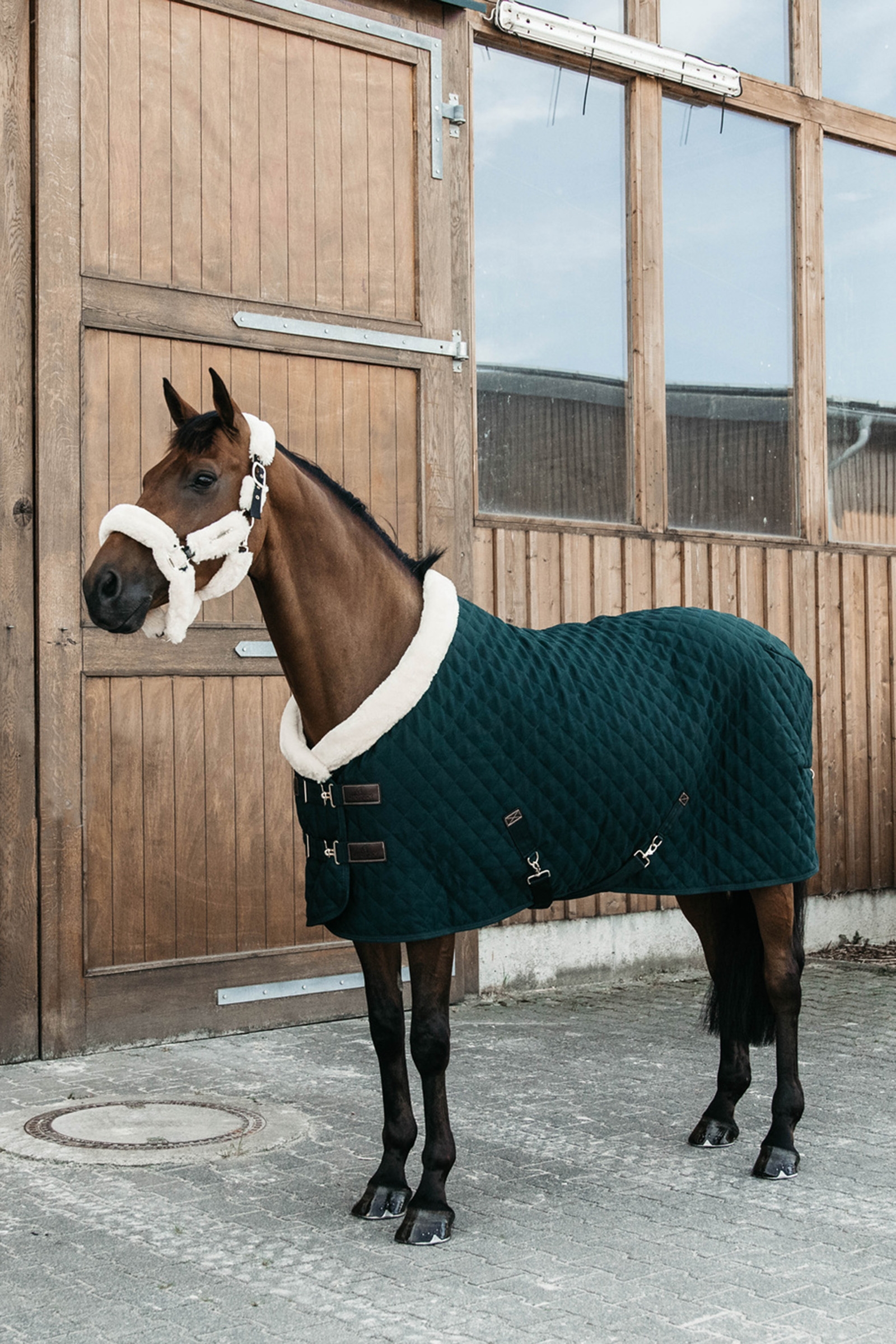 Dark Green Kentucky Horsewear Show Rug Turnierdecke, 160g