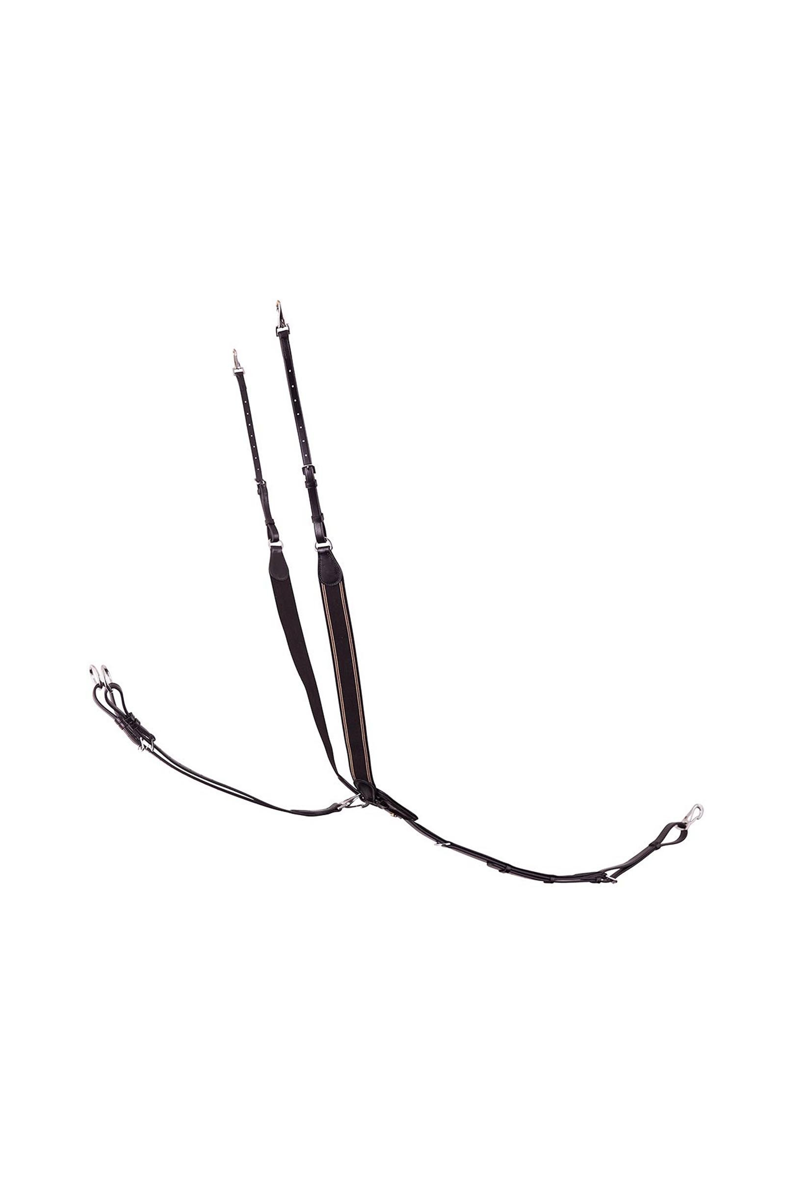 BR Taunton elastisches Vorderzeug mit abnehmbarem Martingal