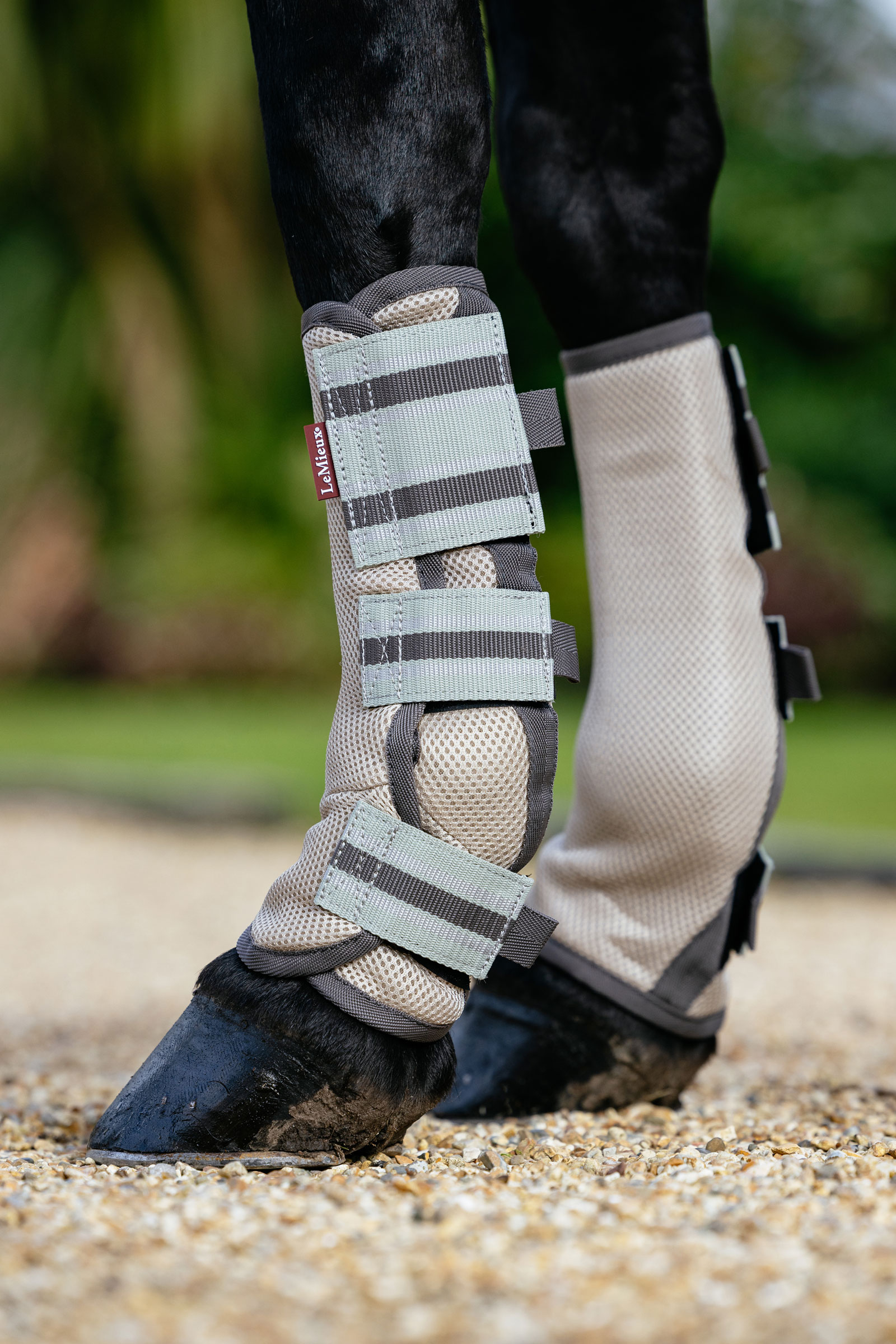 LeMieux Arika Mesh Fliegengamaschen Set 4 St&uuml;ck