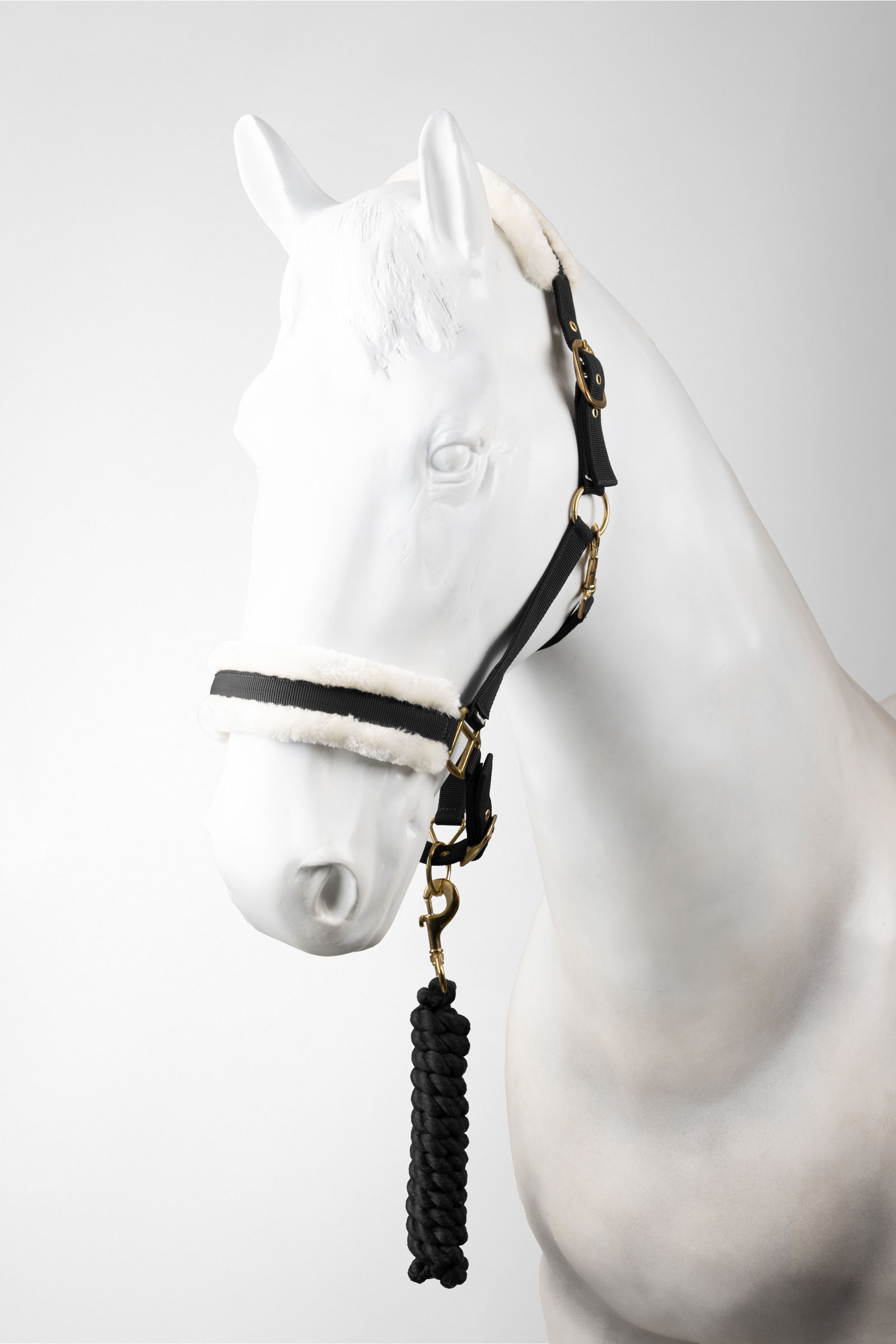 Horze Halfter & F&uuml;hrstrick Set