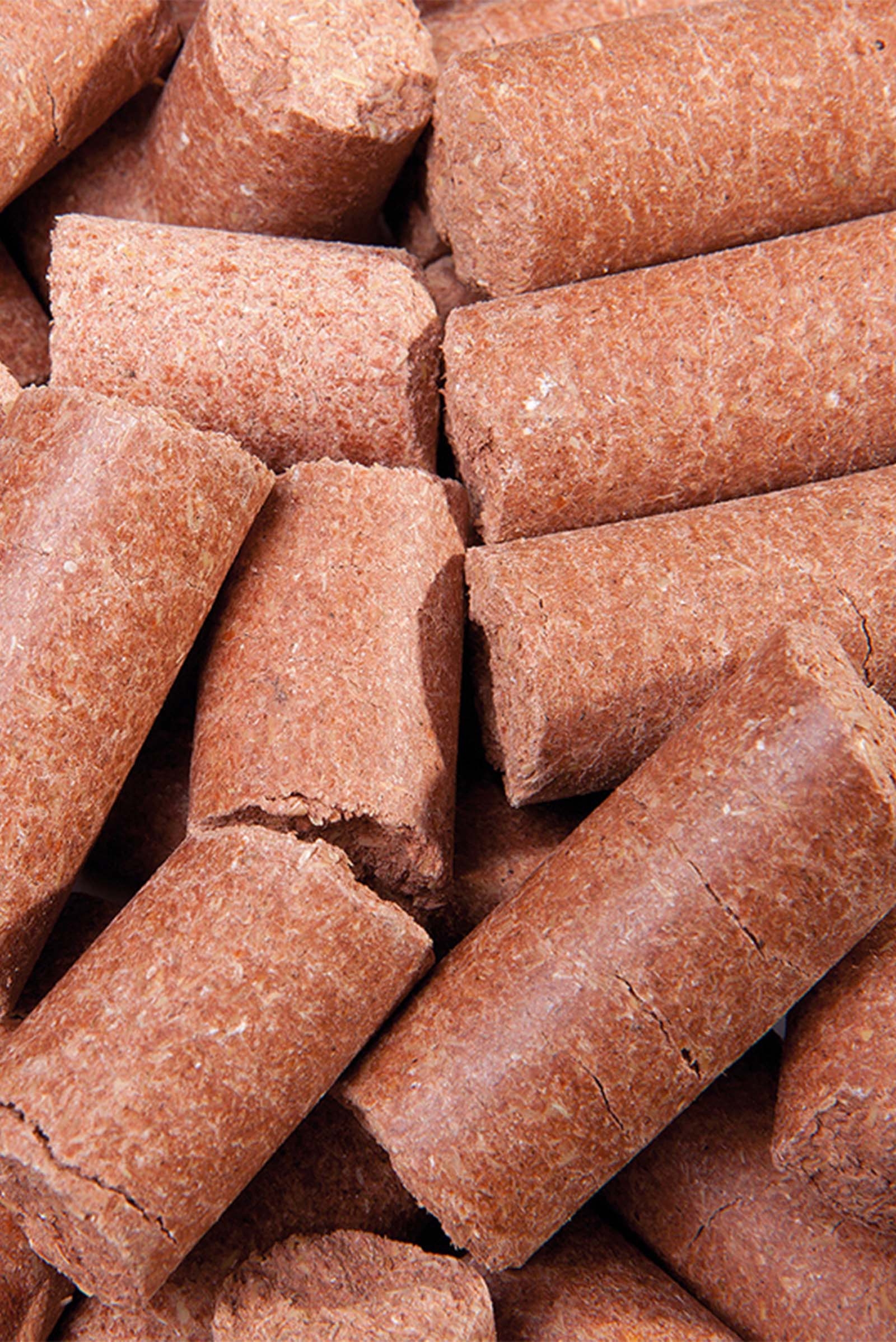 Speed Carrot Delicious Speedies, Leckerli, 1kg