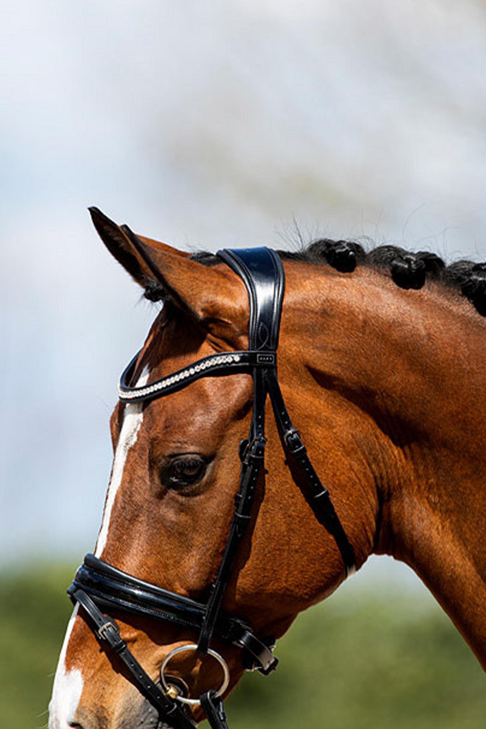 ANKY Anatomic Trense aus Lackleder mit weicher Polsterung