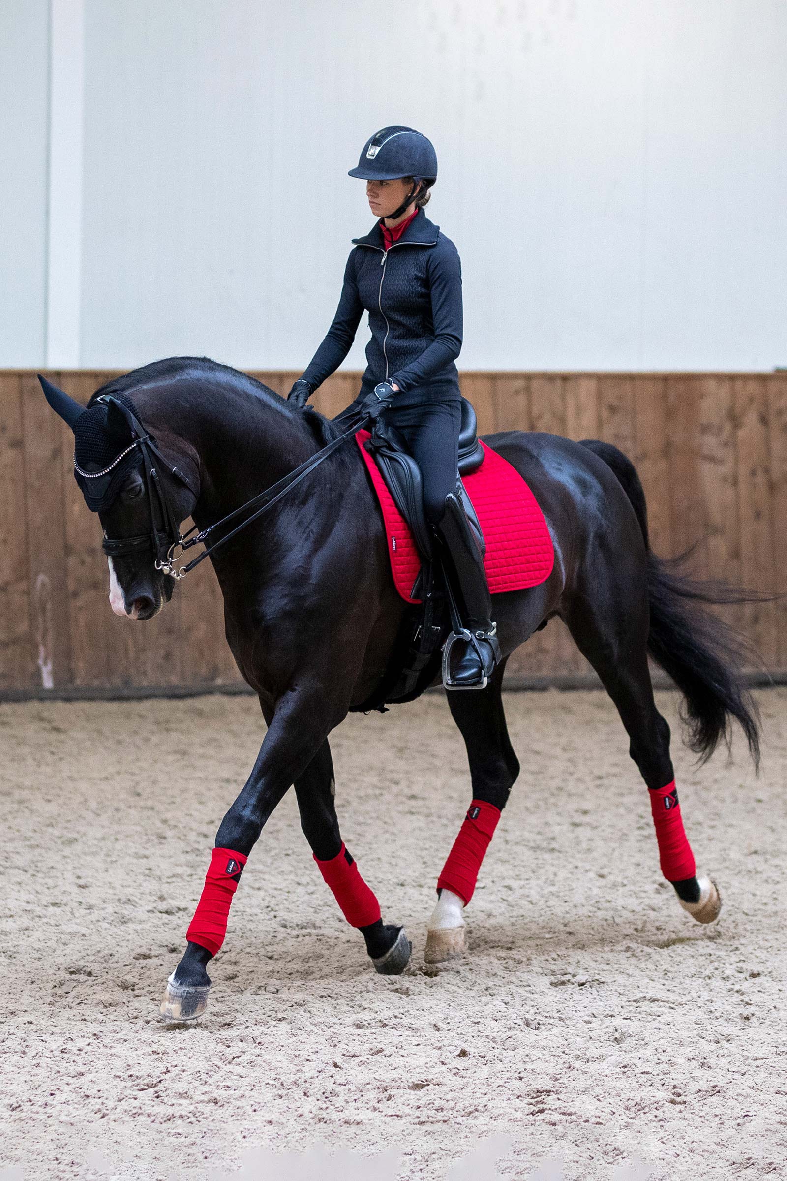 LeMieux Suede Luxuri&ouml;se saisonale Dressurschabracke