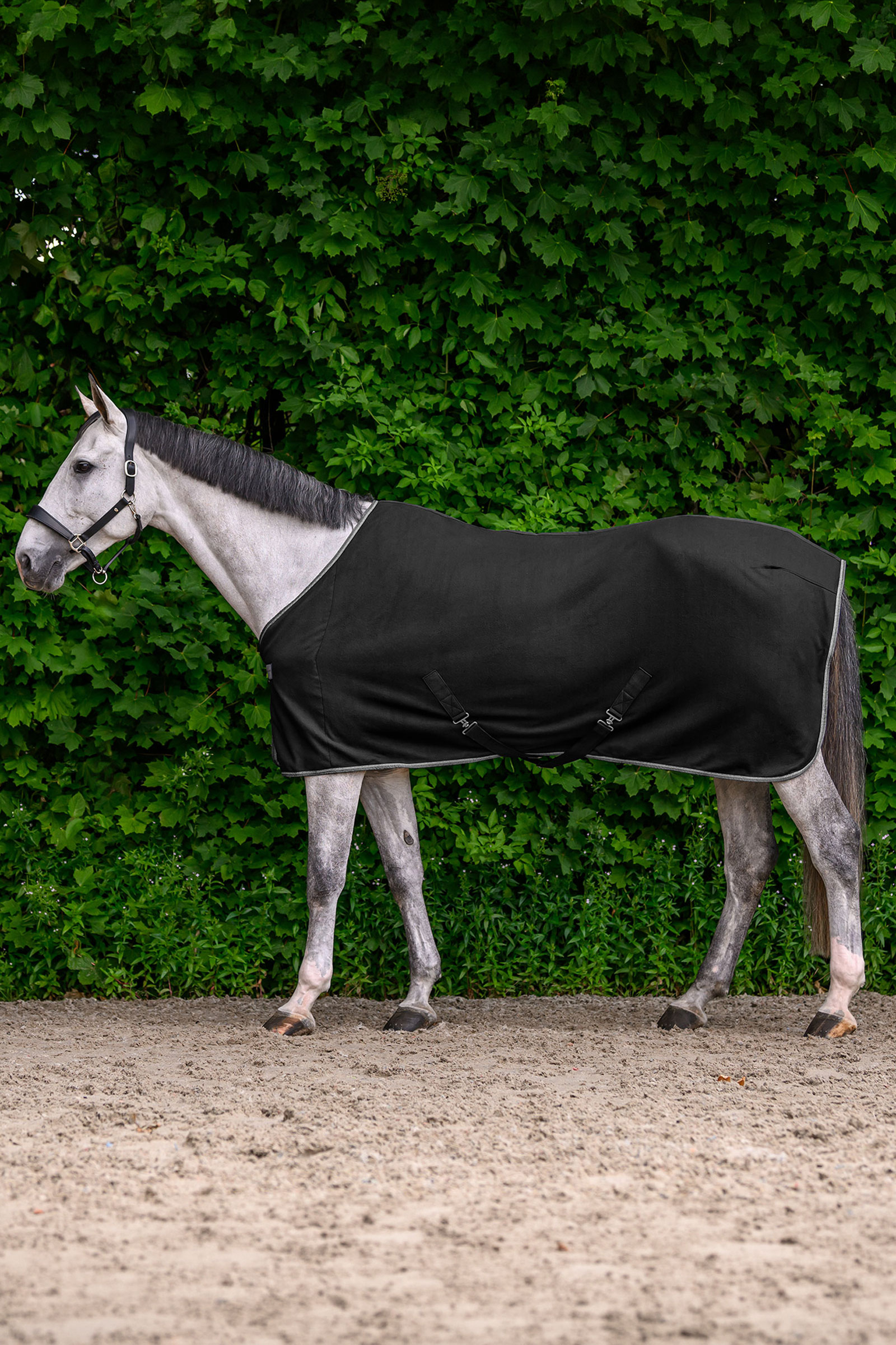 Waldhausen ECONOMIC Fleecedecke mit Kreuzgurten