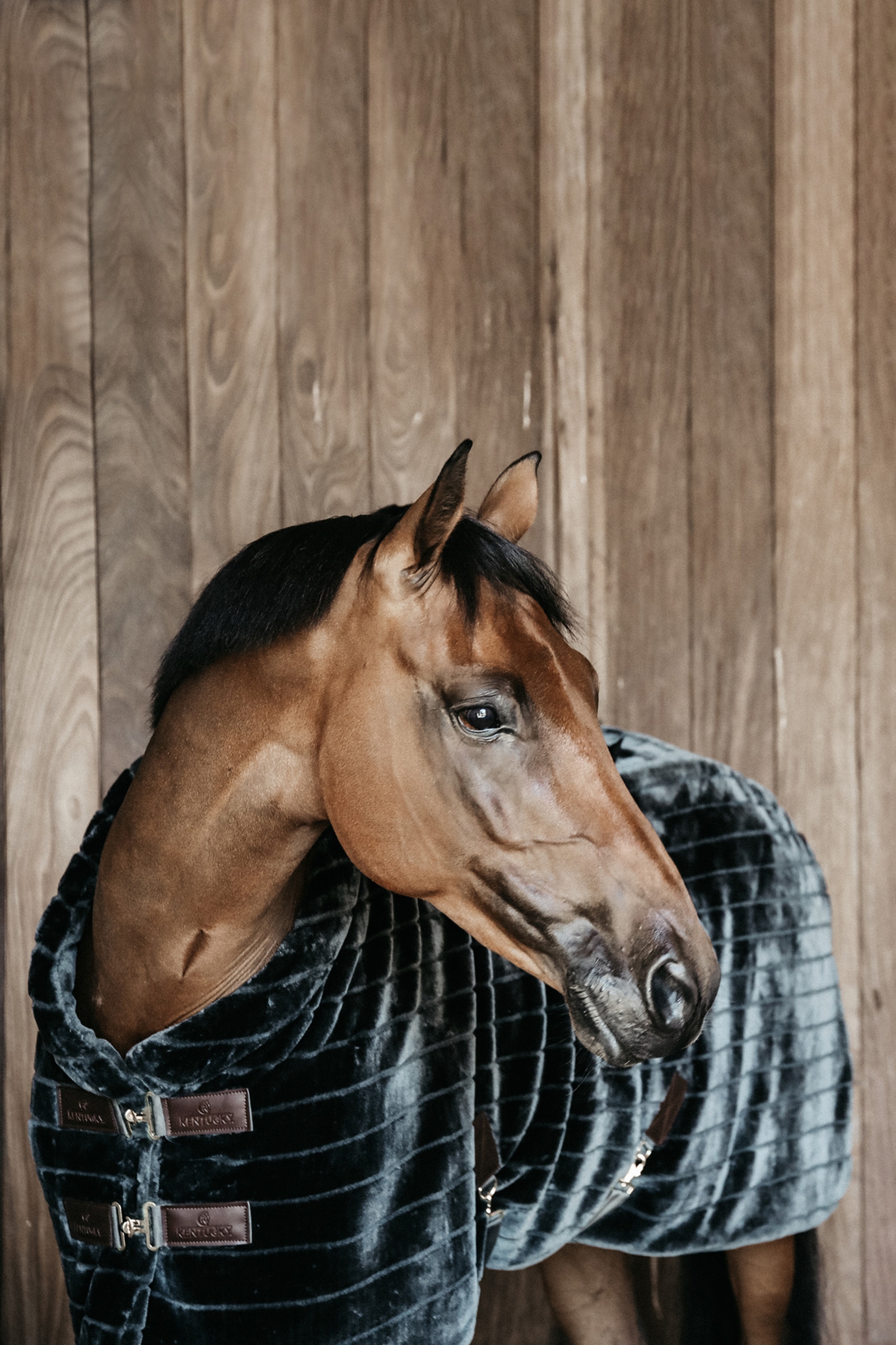 Kentucky Horsewear Fake Fur Stalldecke