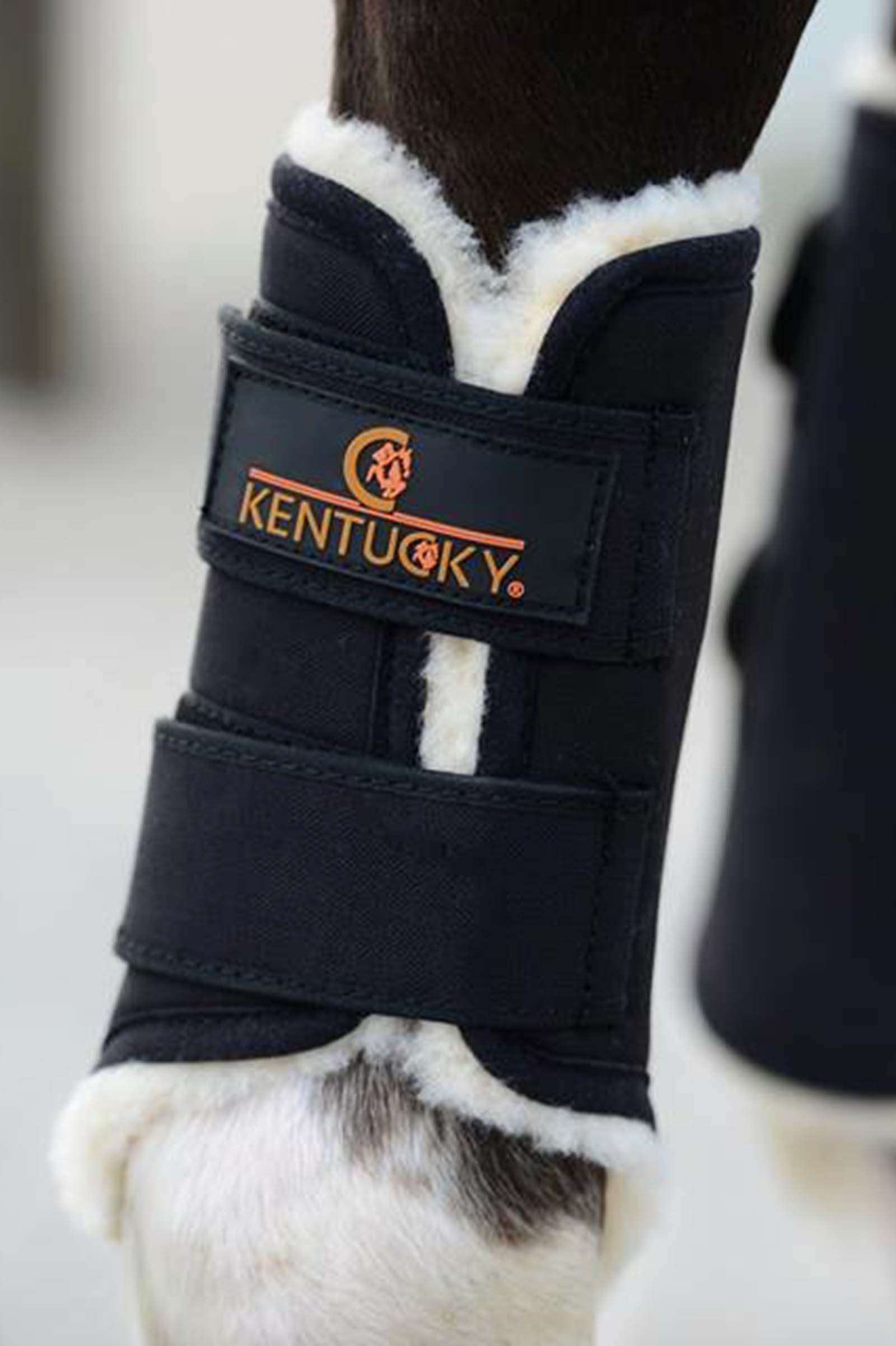 Kentucky Horsewear Solimbra Arbeitsgamaschen Vorne
