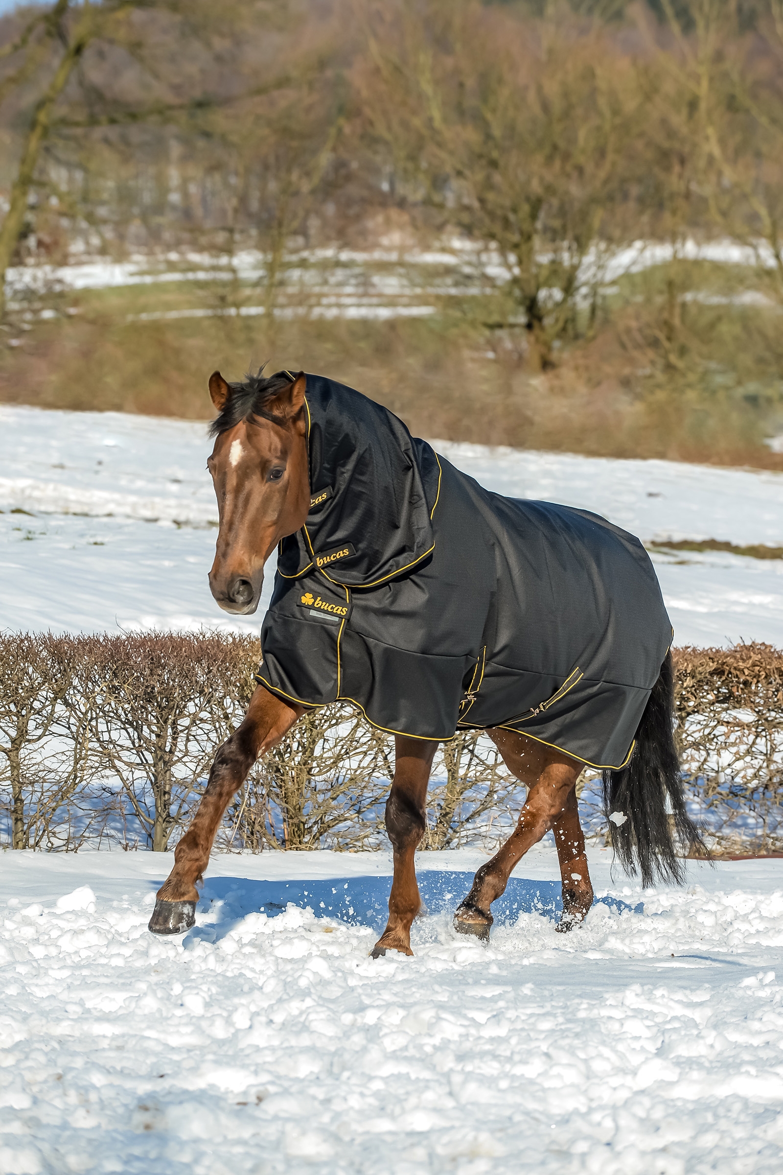 Bucas Irish Turnout Extra Pony Winterdecke, 300g