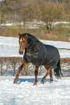 Bucas Irish Turnout Extra Pony Winterdecke, 300g
