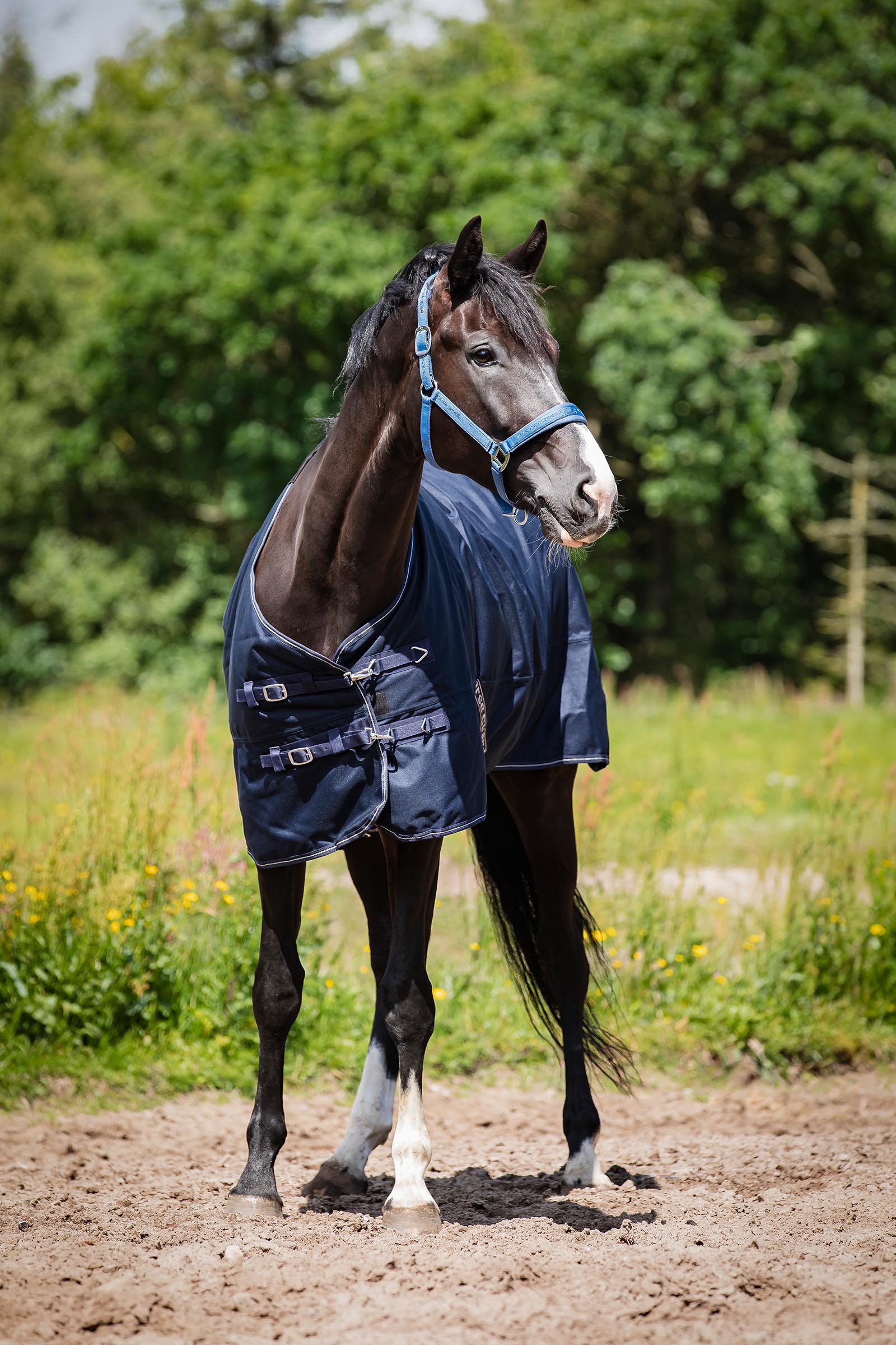 HorseGuard Landon 1200D Weidedecke mit Standard Hals, 0 g