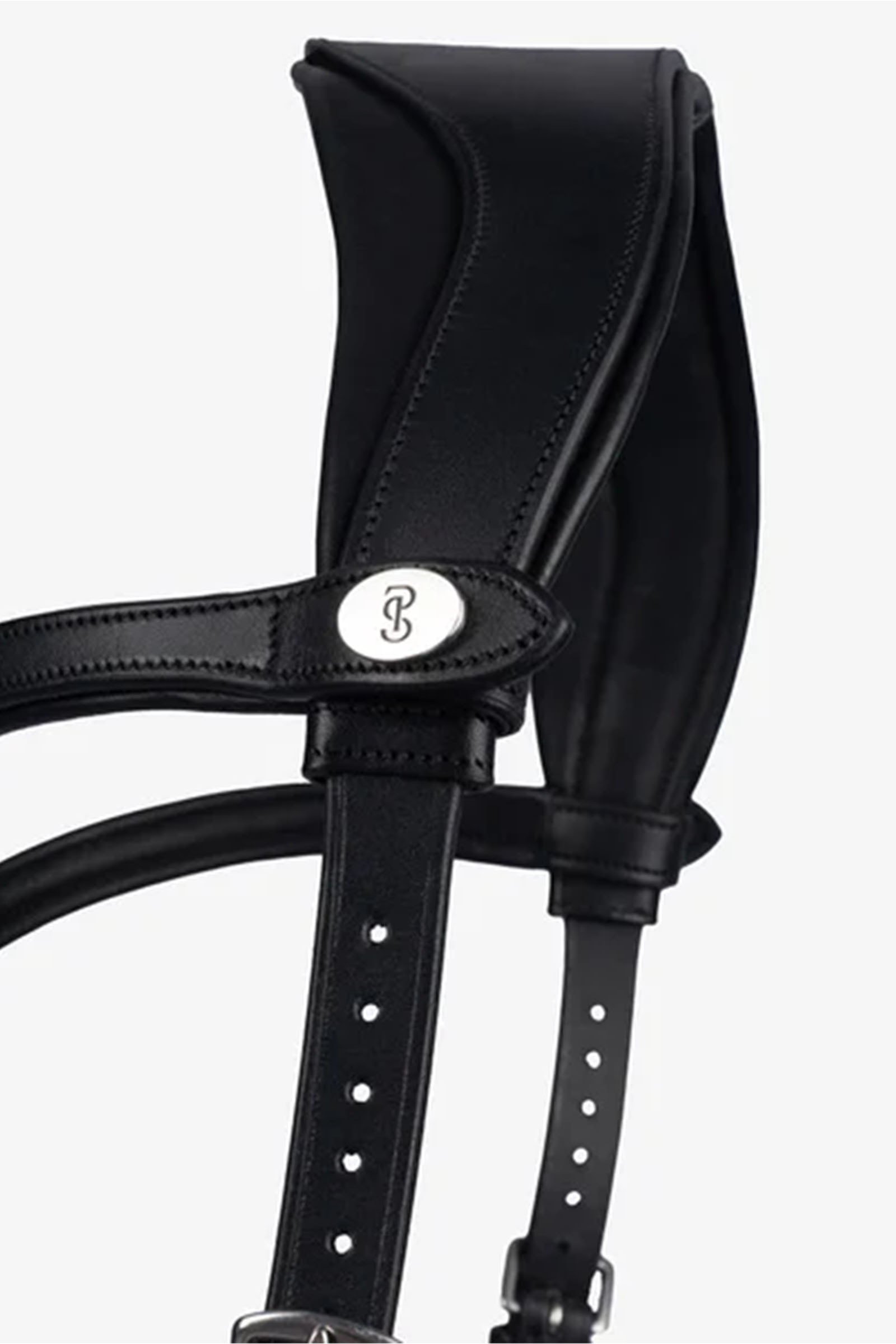 PS of Sweden Trense King Edward