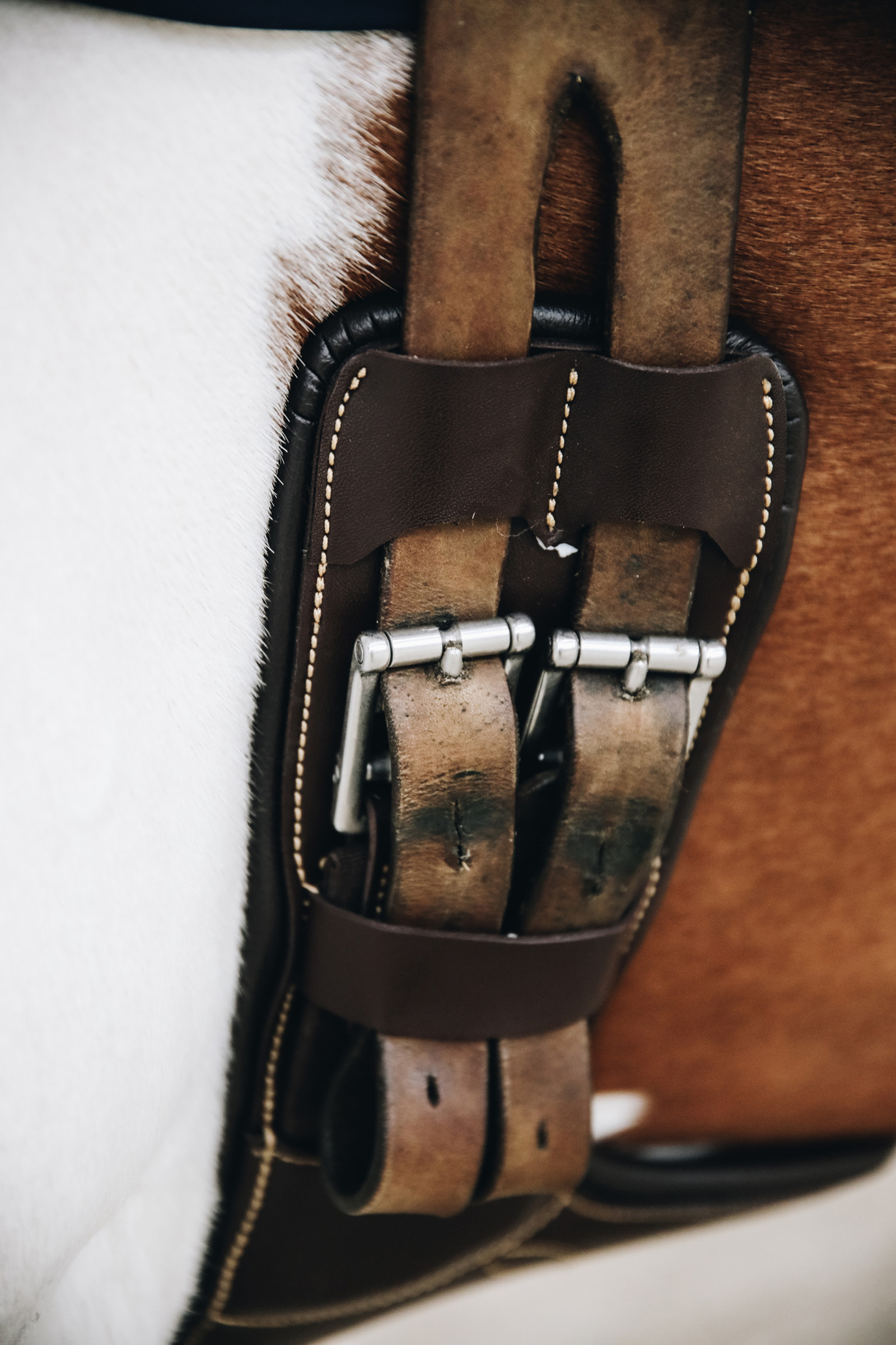 Kentucky Horsewear kurzer Stollenschutzsattelgurt