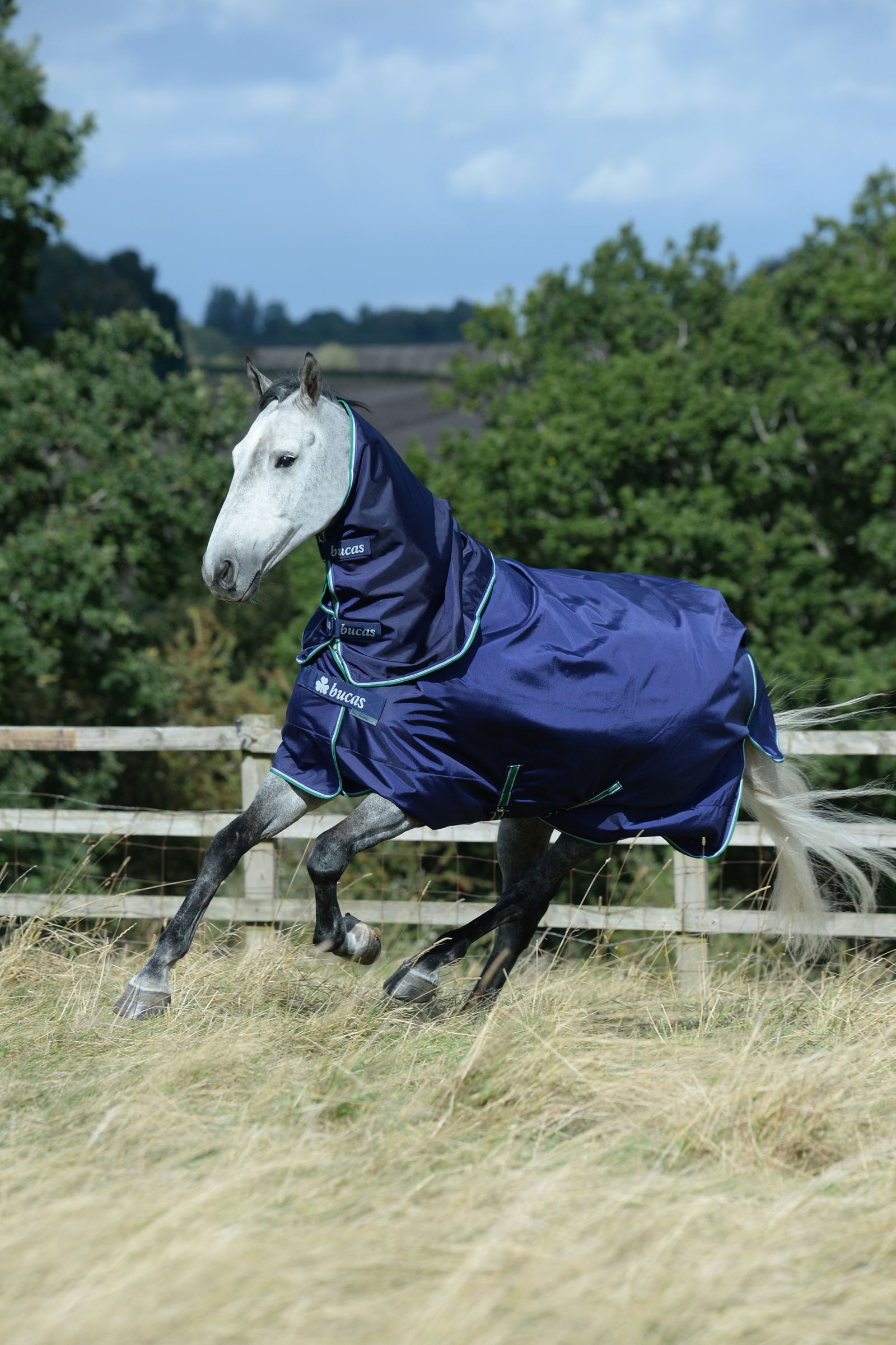 Bucas Smartex Medium Weidedecke, 150g