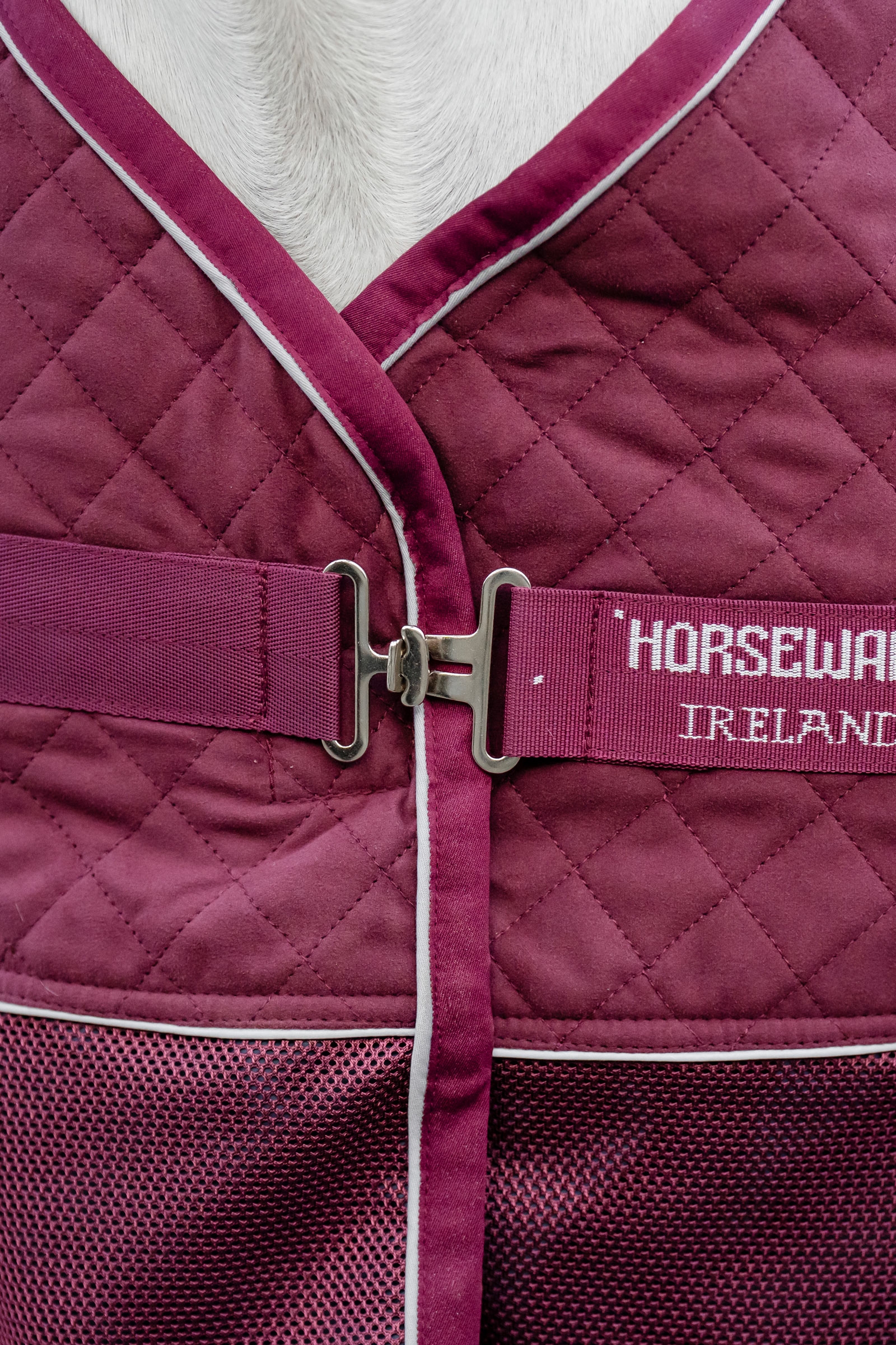 Horseware Signature Abschwitzdecke f&uuml;r den Transport