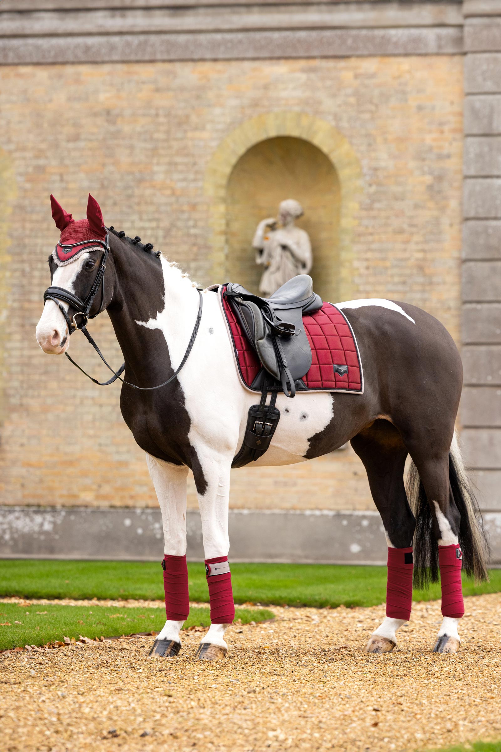 LeMieux Loire Klassische Quadratische Dressur Schabracke