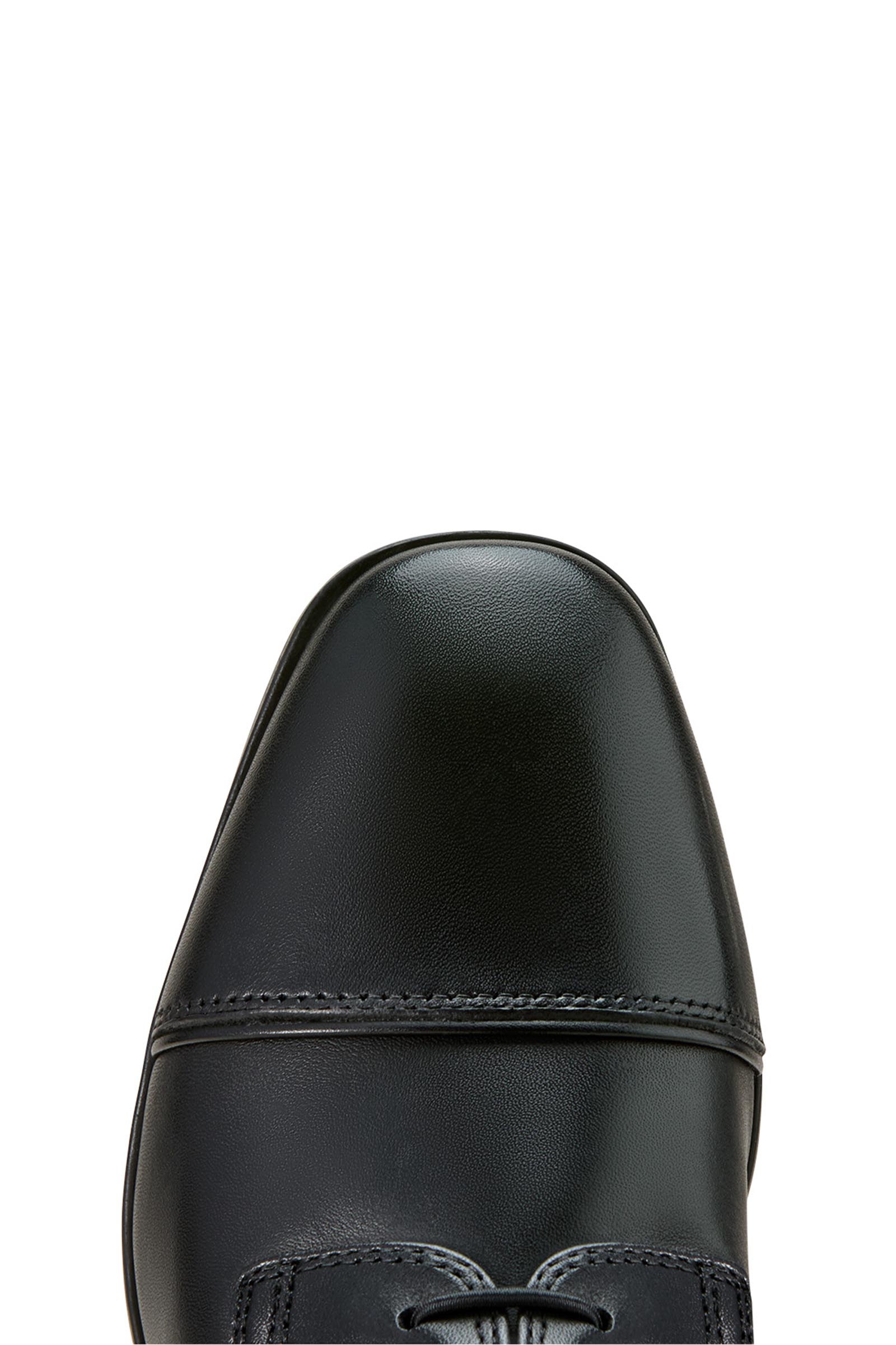 Ariat Palisade Lace Damen hohe Reitstiefel mit Schnürung